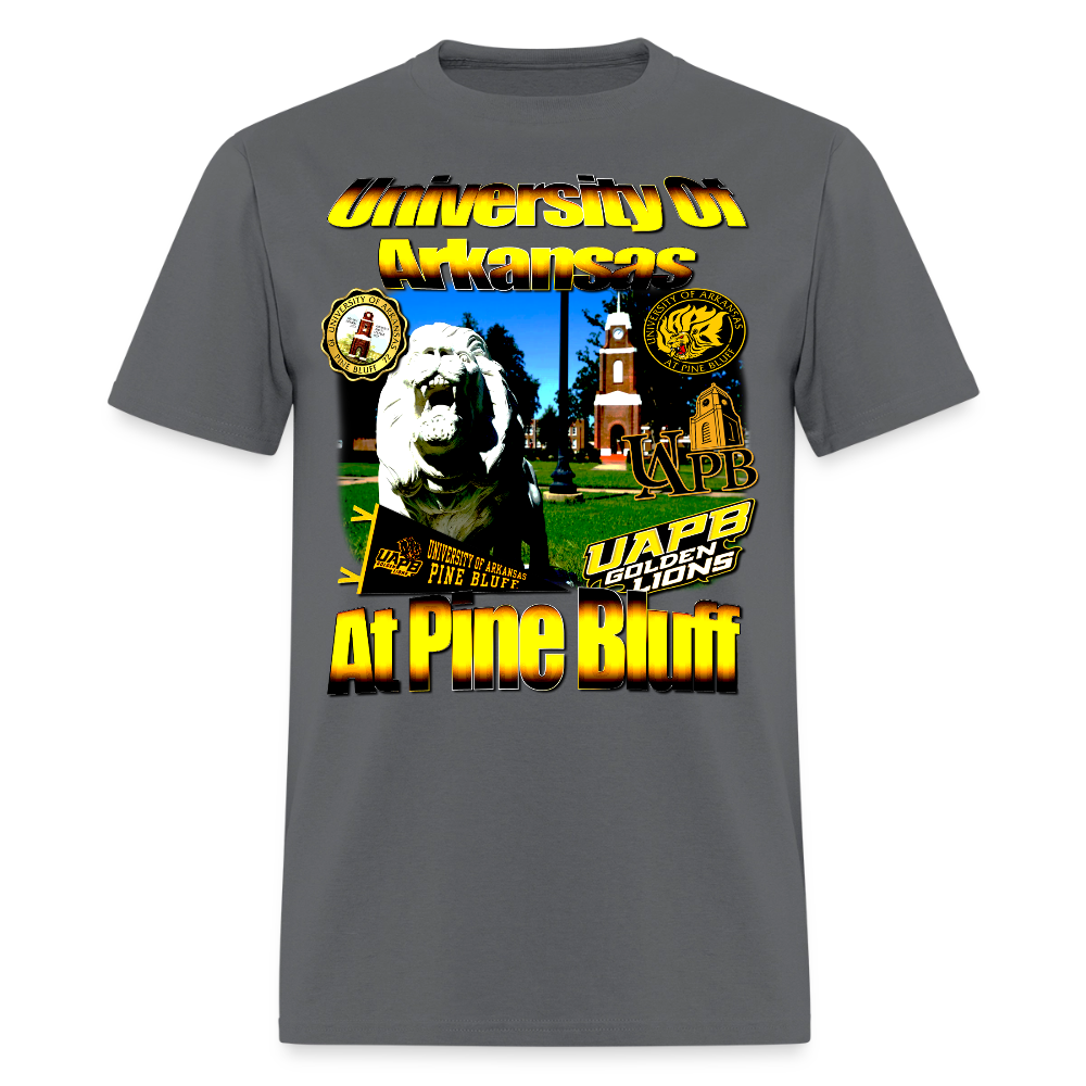 University of Arkansas at Pine Bluff Tee - charcoal