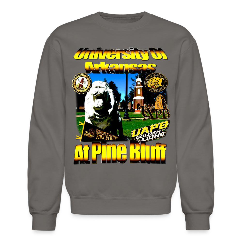 University of Arkansas at Pine Bluff Sweatshirt - asphalt gray