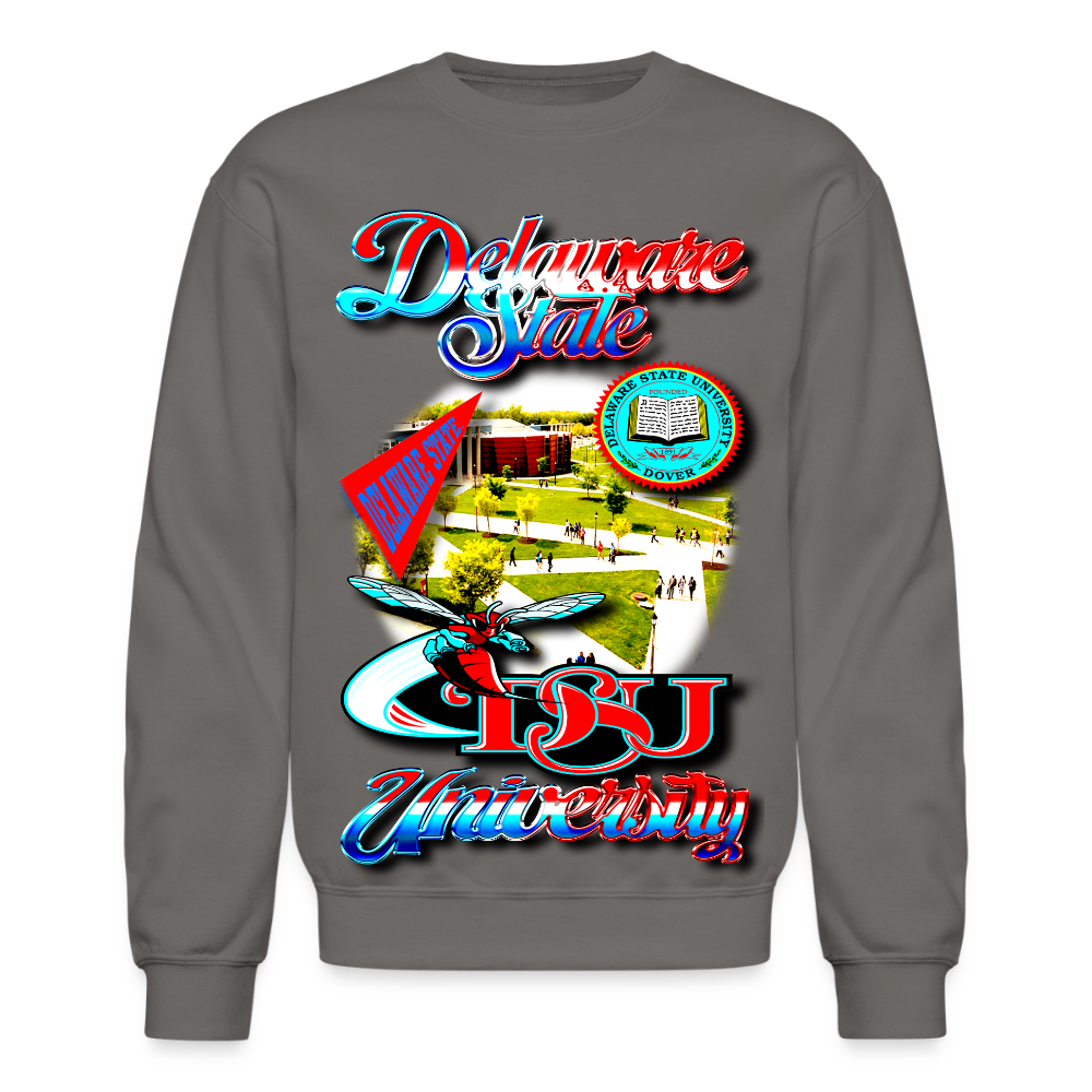 Delaware State Sweatshirt - asphalt gray