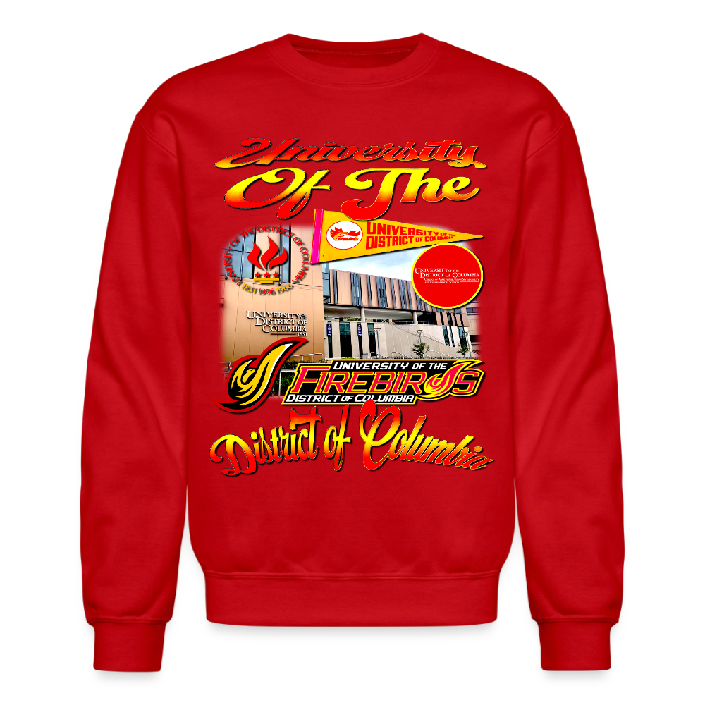 University Of DC Sweatshirt - red