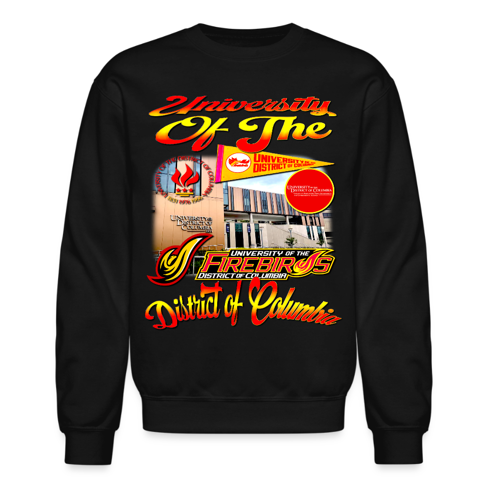 University Of DC Sweatshirt - black