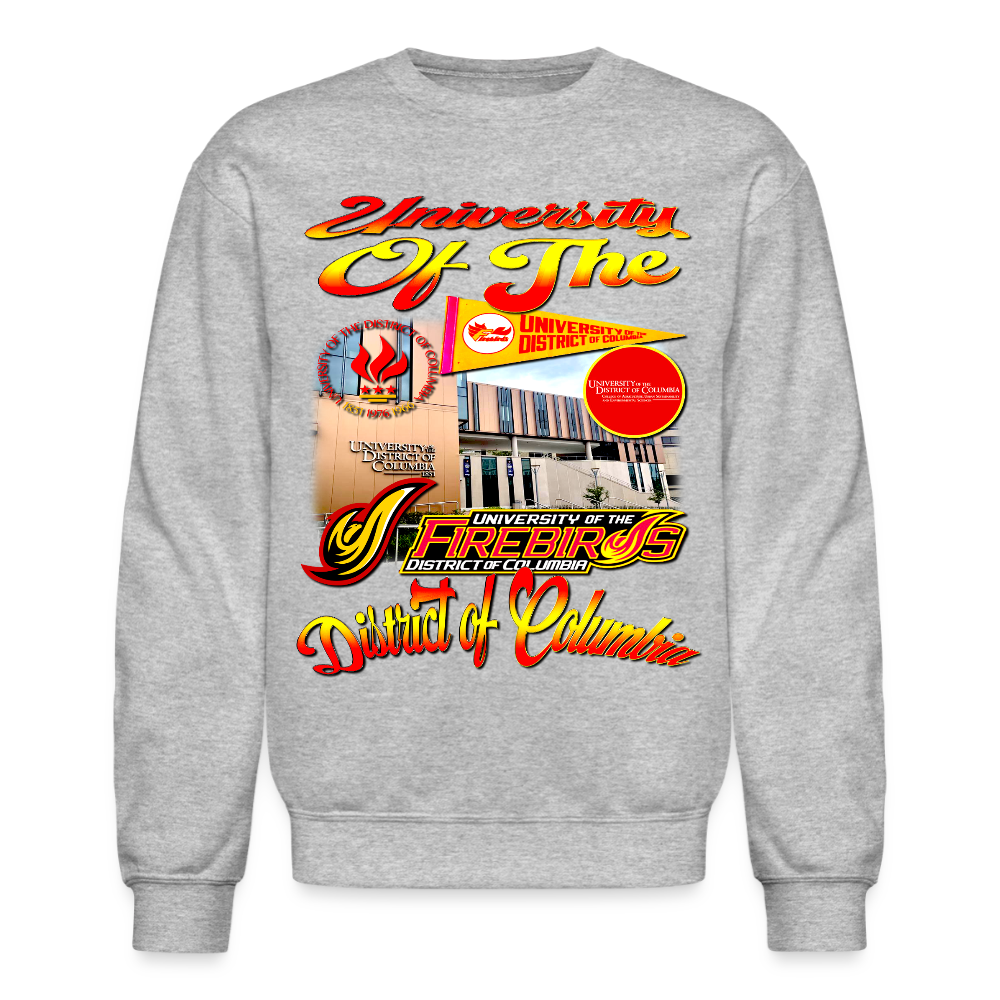 University Of DC Sweatshirt - heather gray