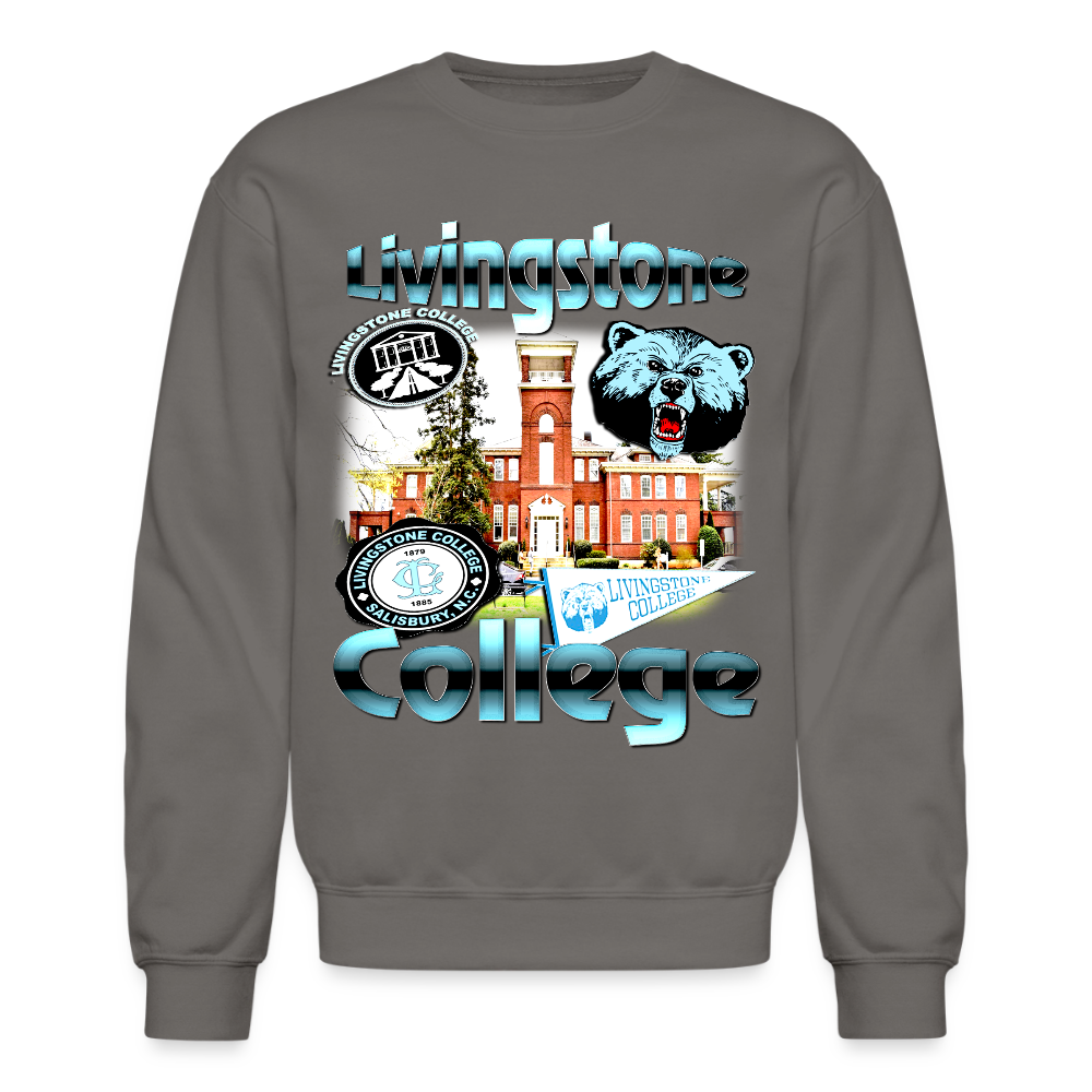 Livingstone College Sweatshirt - asphalt gray