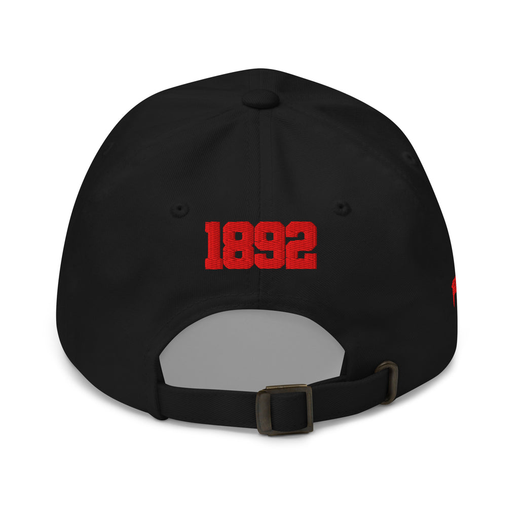 Winston-Salem State Pennant Dad Hat