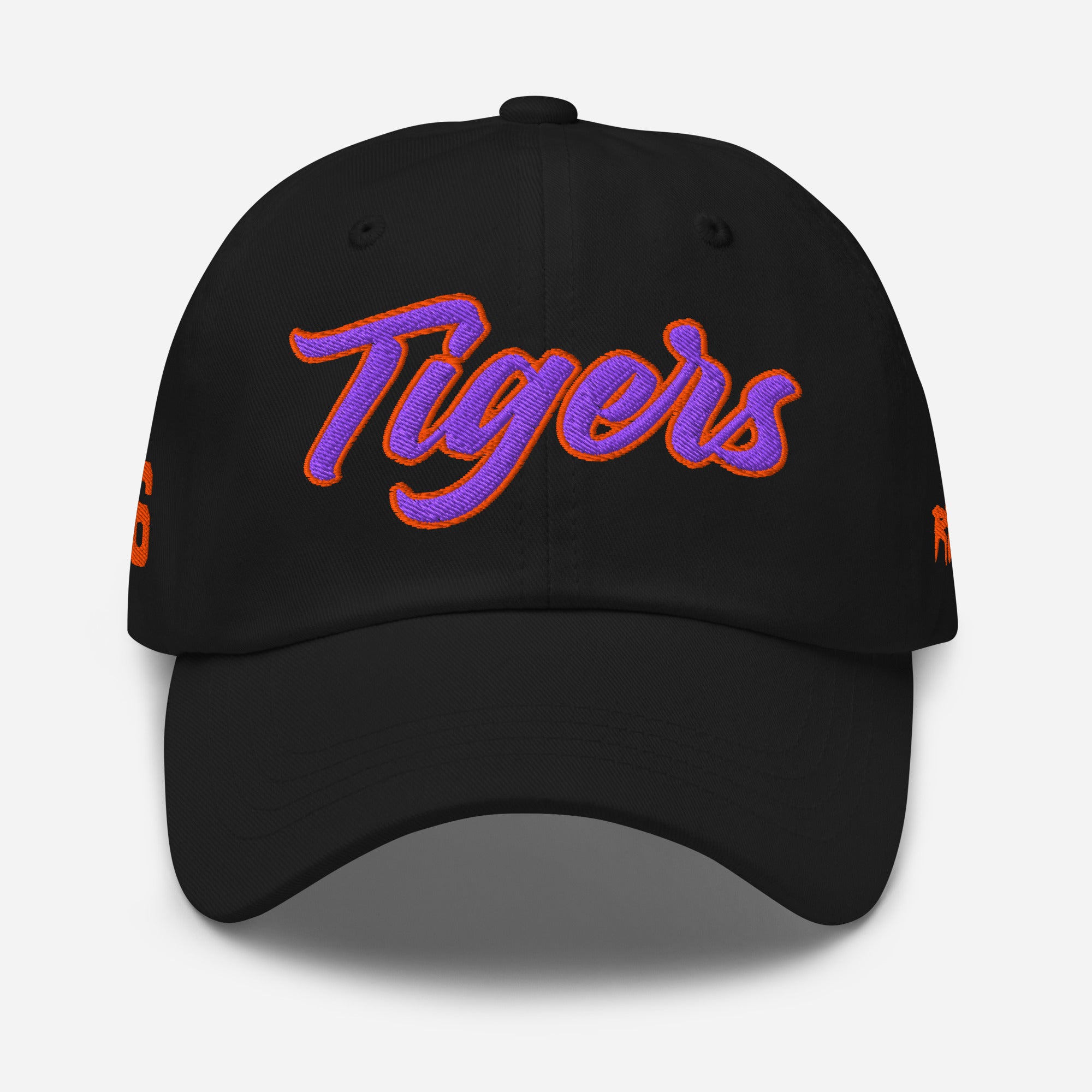 Edward Waters Tigers Dad Hat