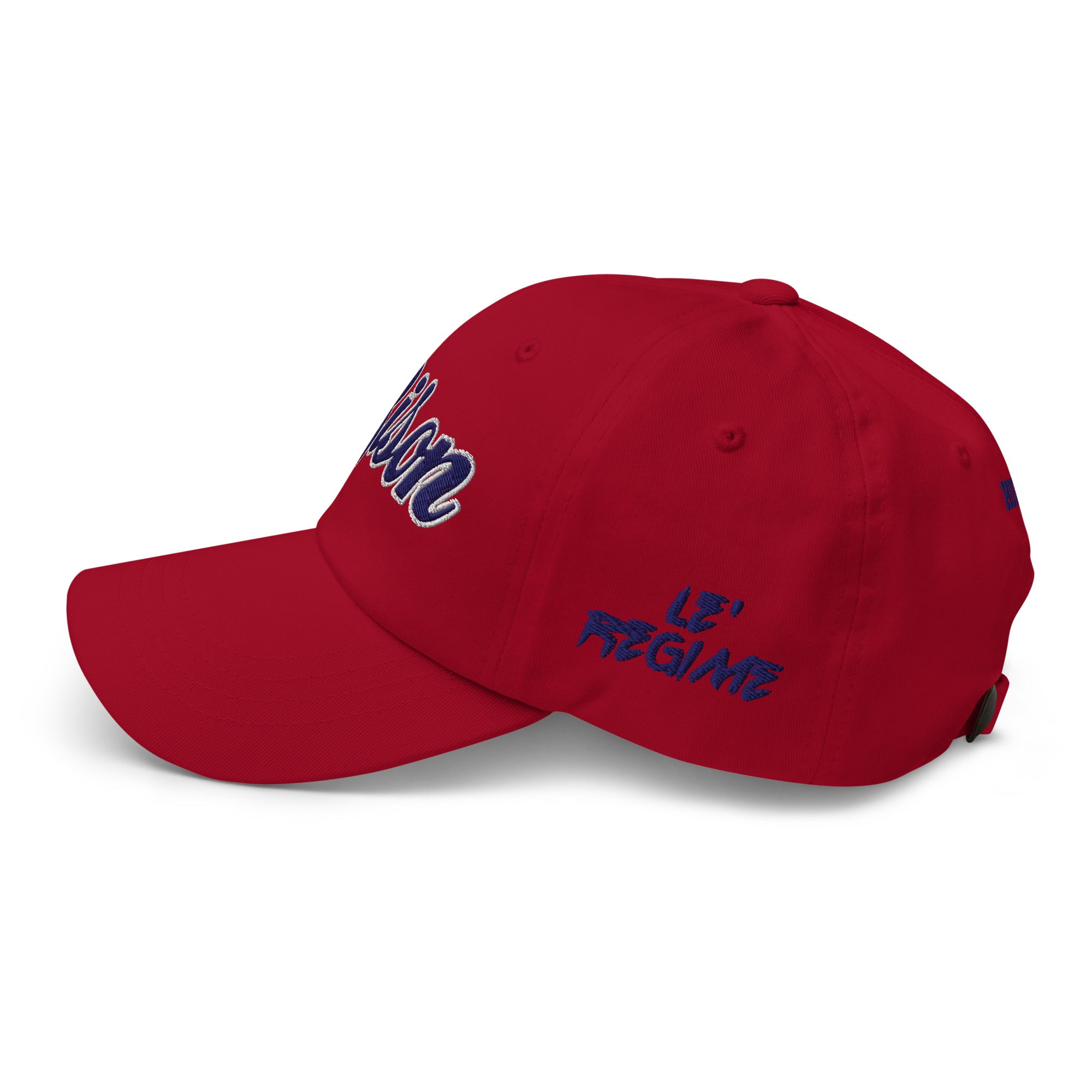 Howard Bison Dad Hat