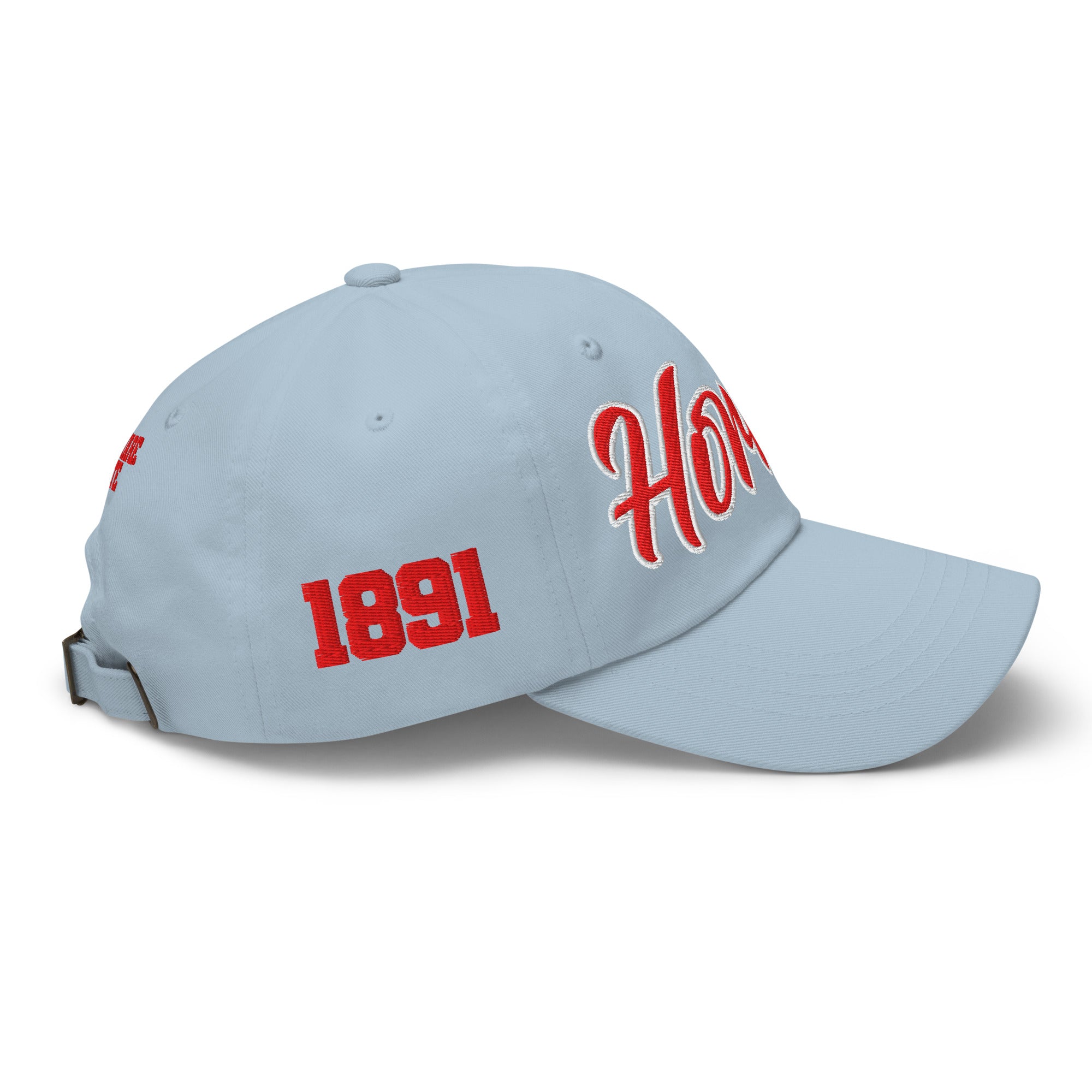 Delaware State Hornets Dad Hat
