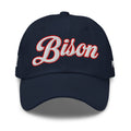 Howard Bison Dad Hat