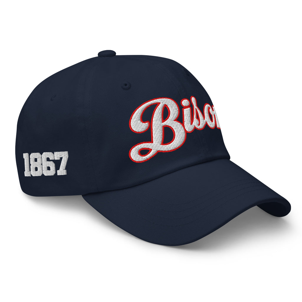 Howard Bison Dad Hat