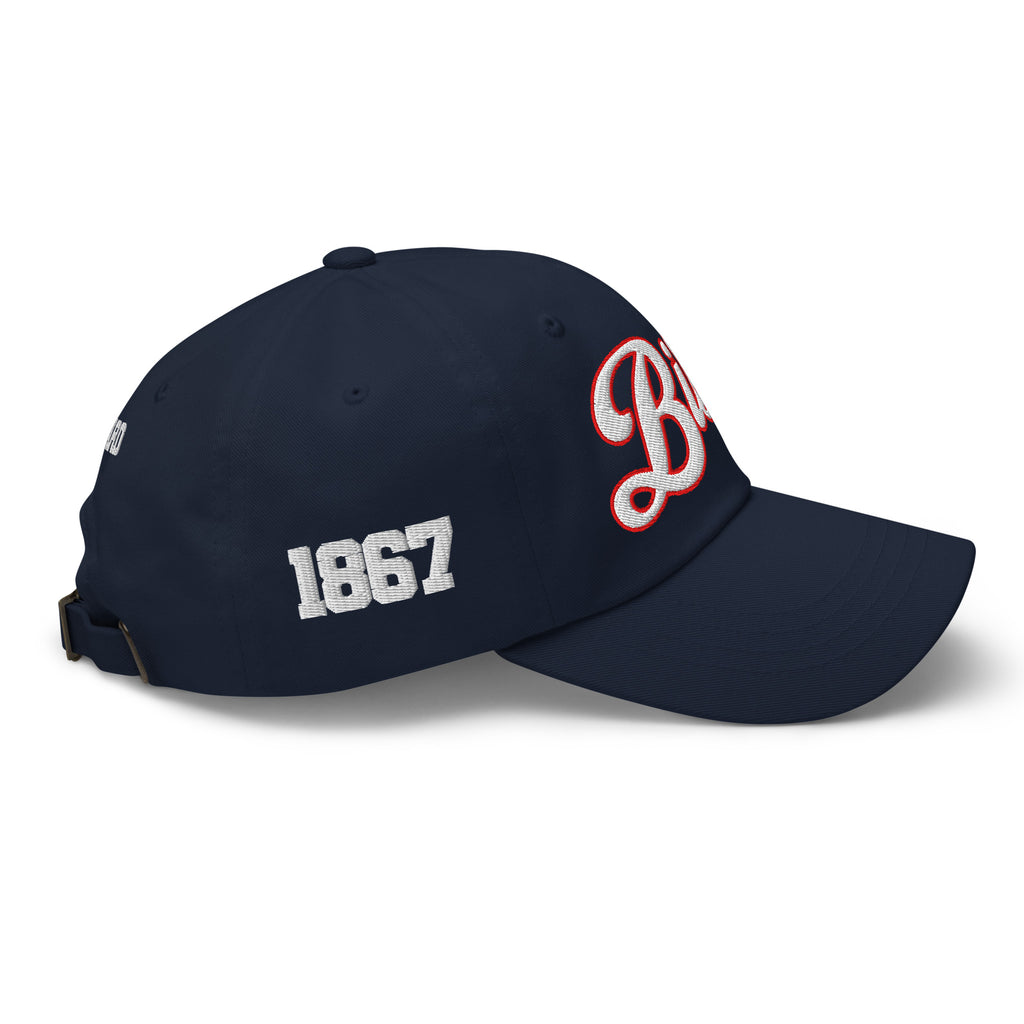 Howard Bison Dad Hat