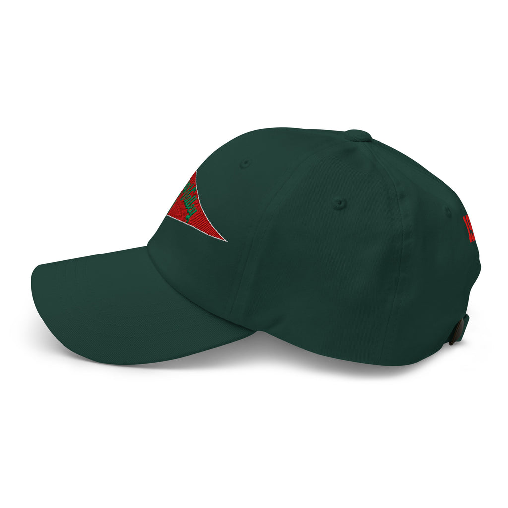 MVSU Pennant Dad Hat