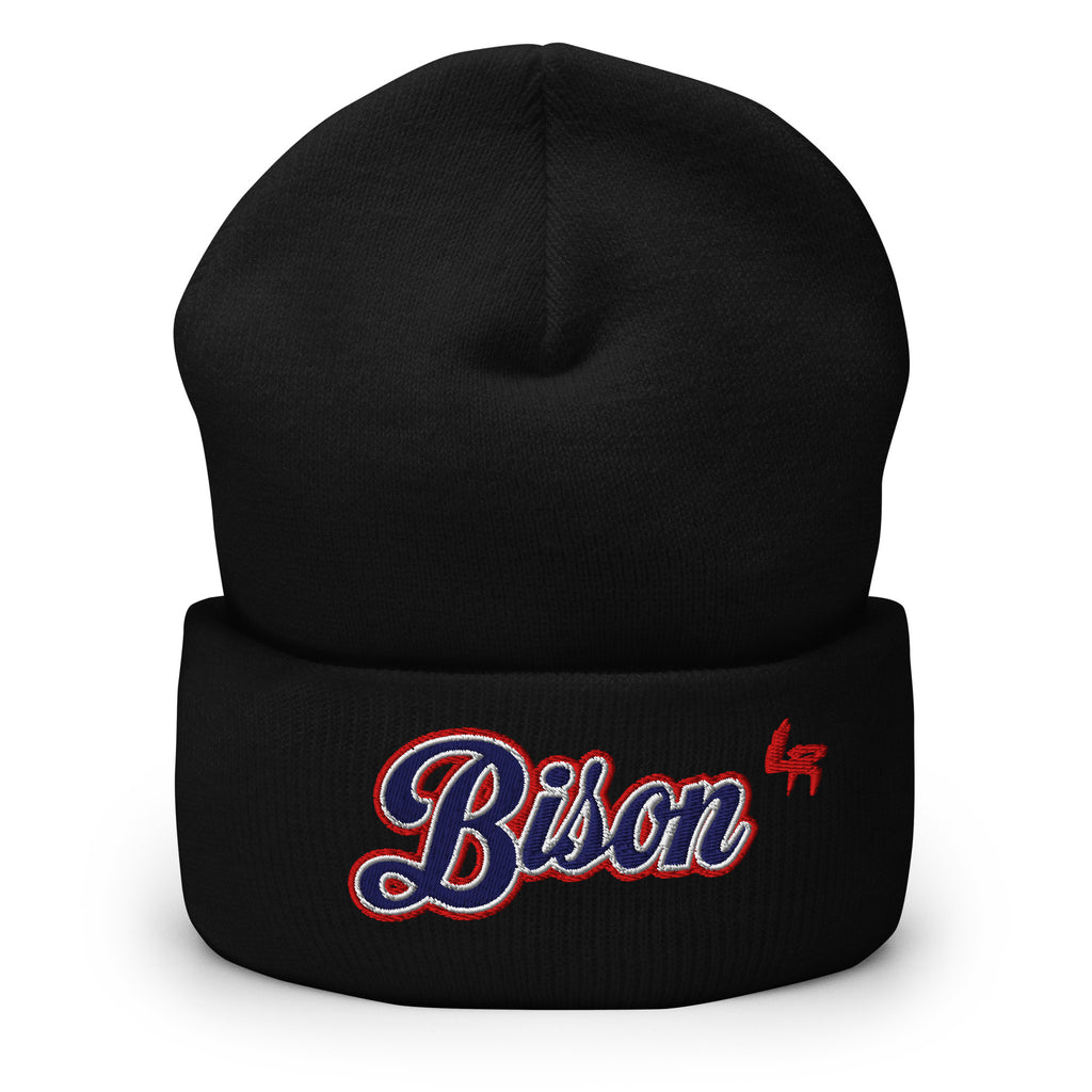 Howard Bison Beanie