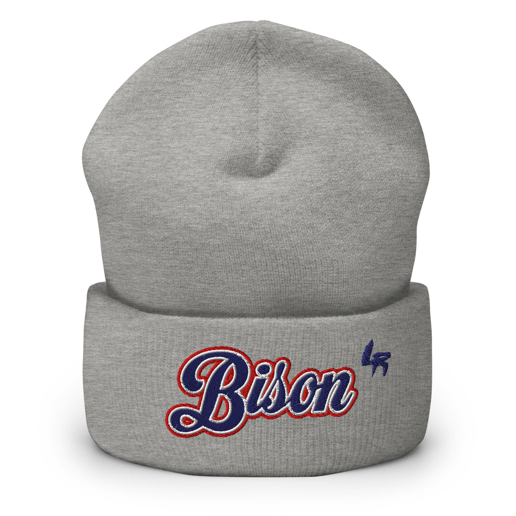 Howard Bison Beanie