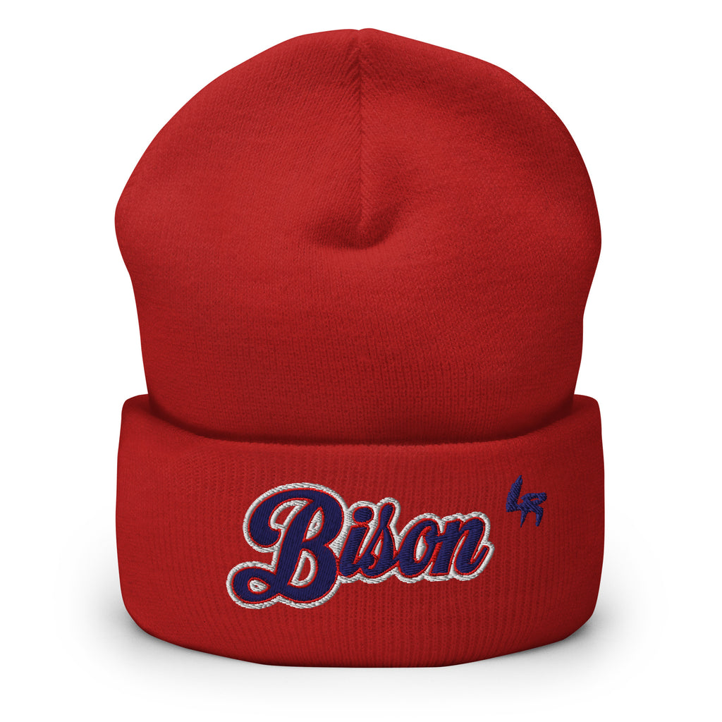 Howard Bison Beanie