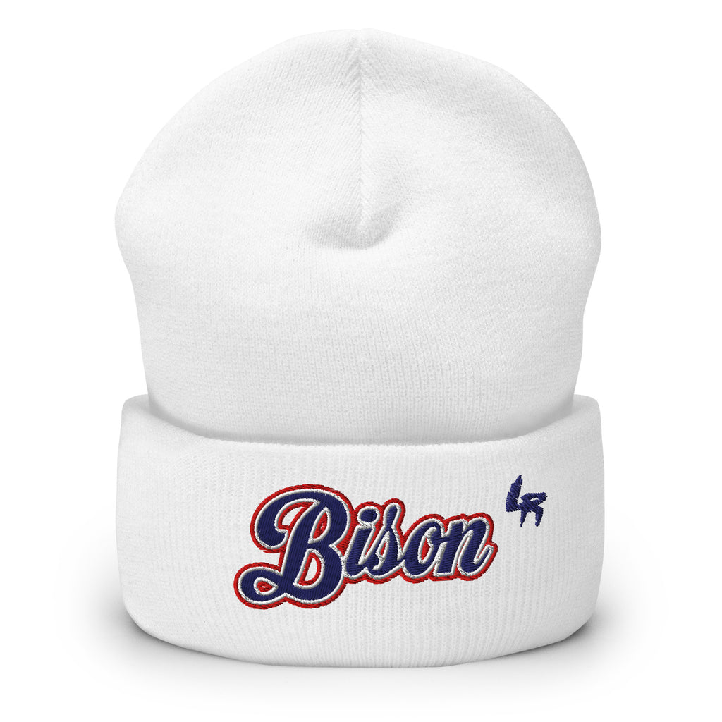 Howard Bison Beanie