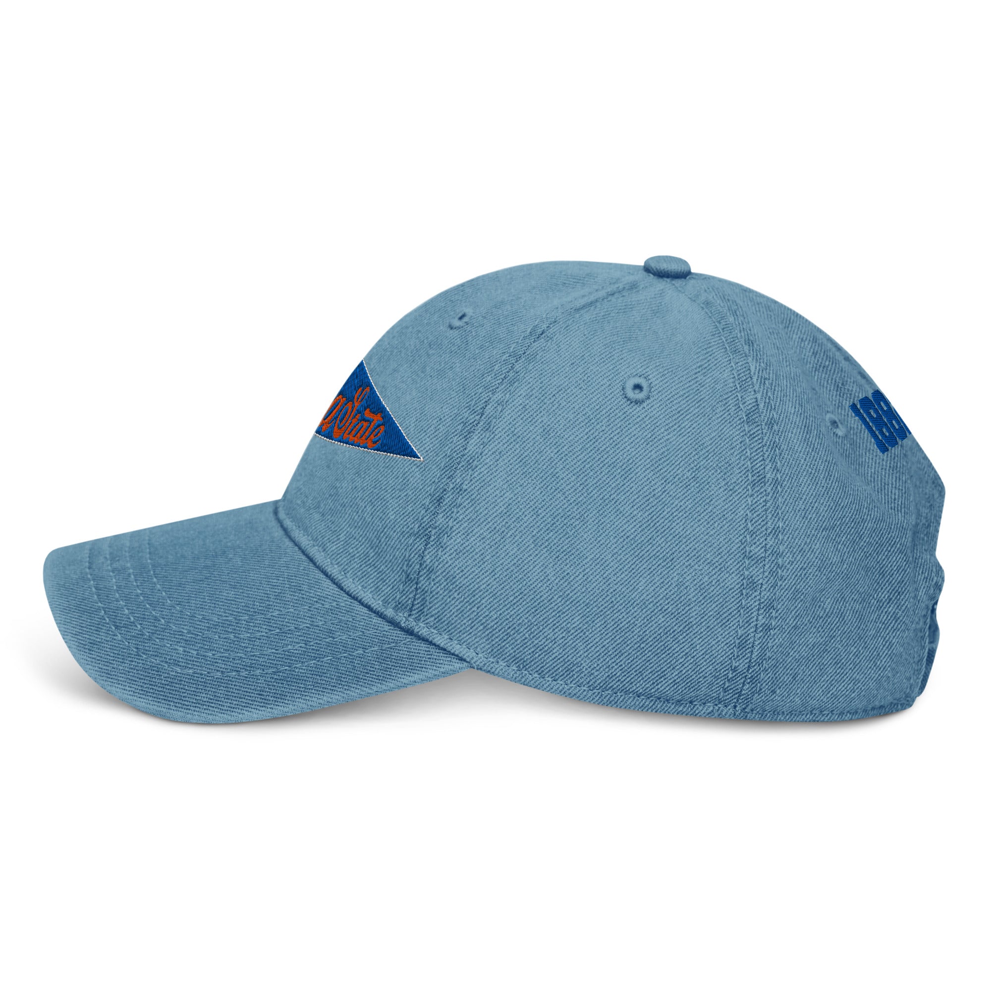 Virginia State Pennant Dad Hat