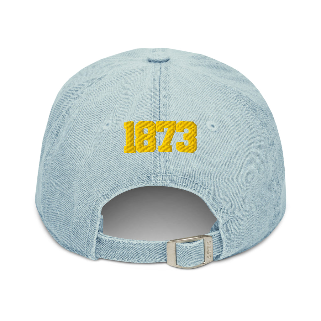 University Of Arkansas at Pine Bluff Pennant Dad Hat