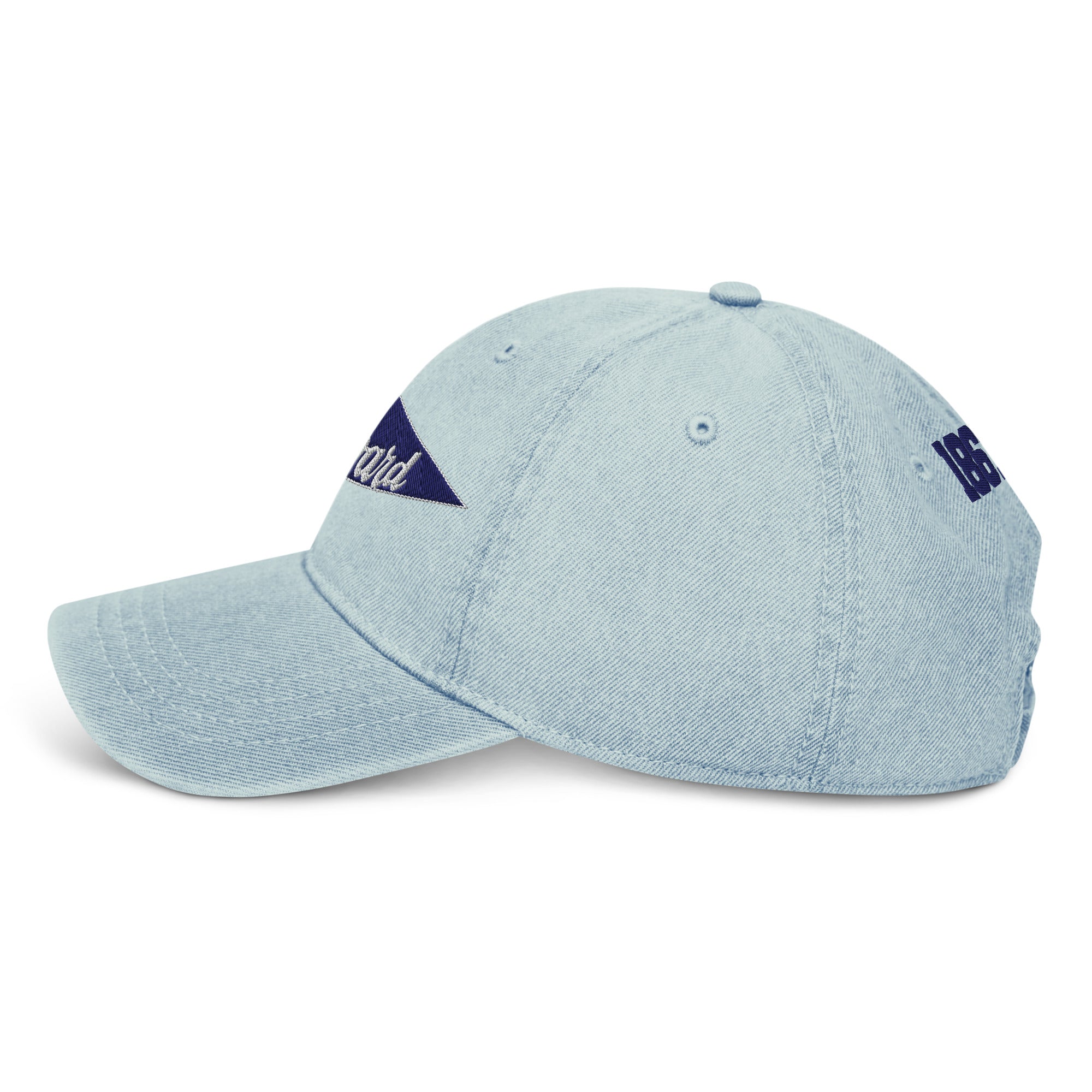 Howard University Pennant Dad Hat