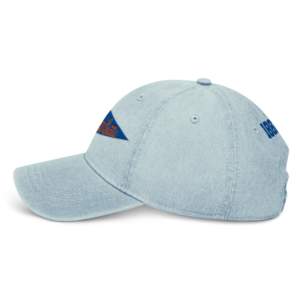 Virginia State Pennant Dad Hat