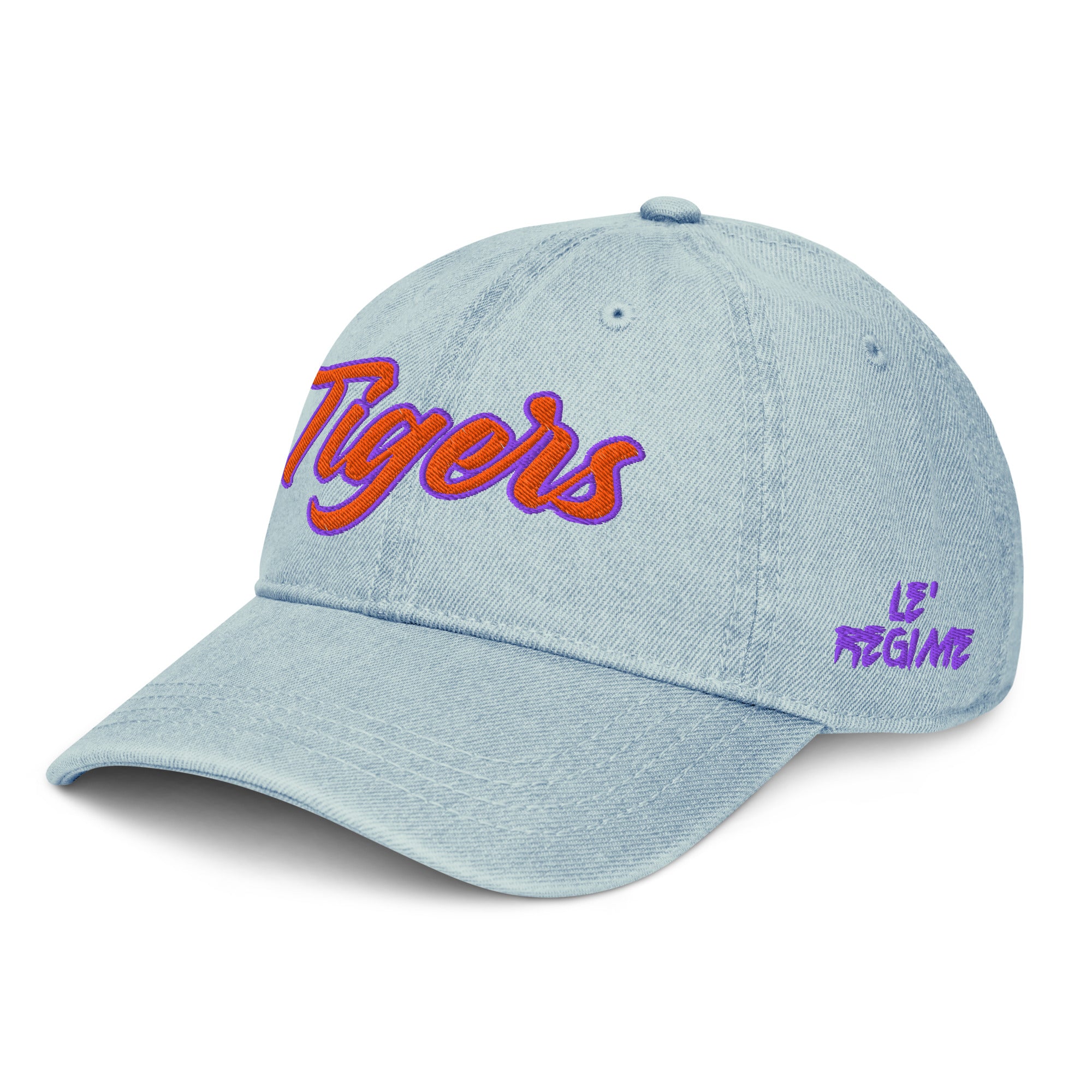 Edward Waters Tigers Dad Hat