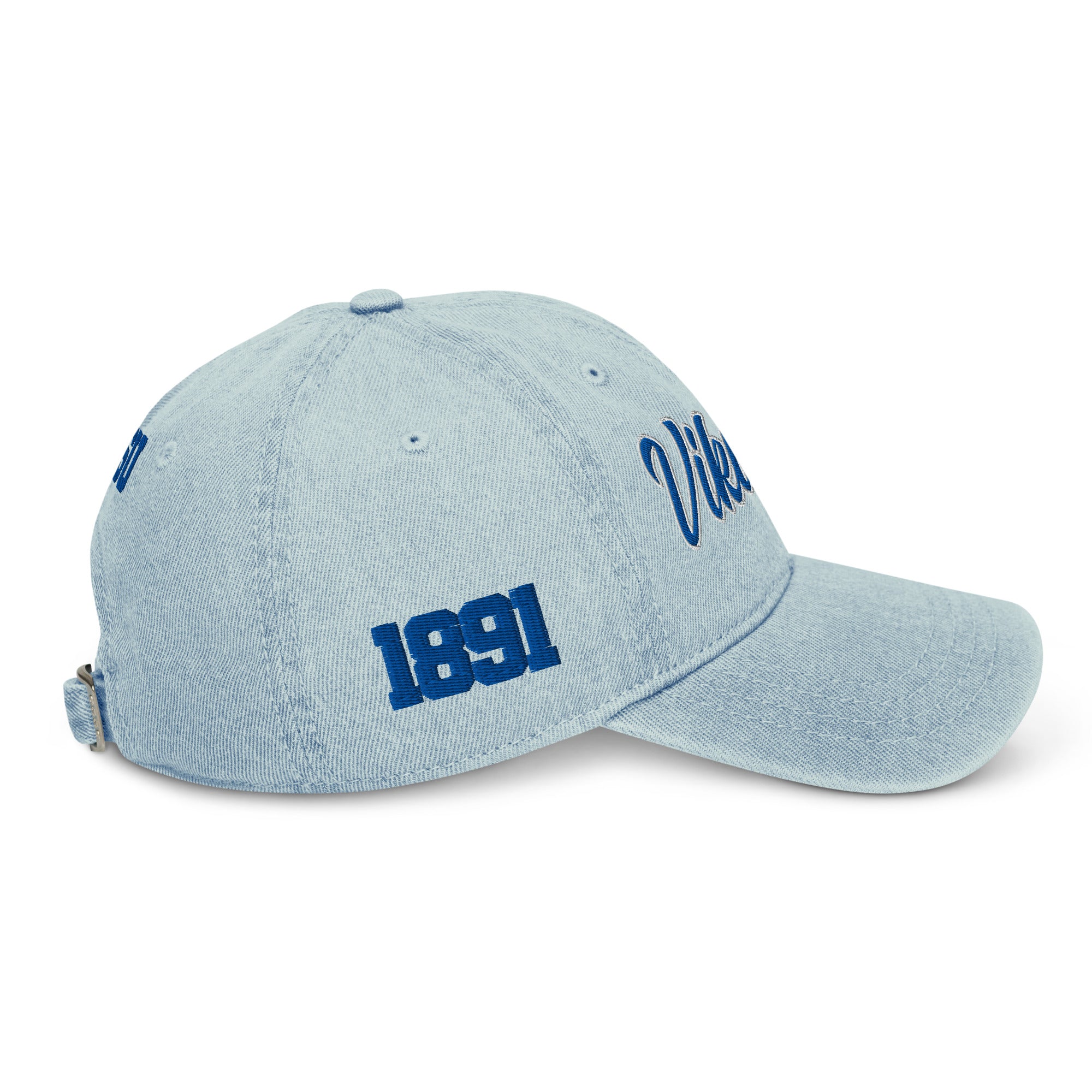 Elizabeth City State University Vikings Dad Hat