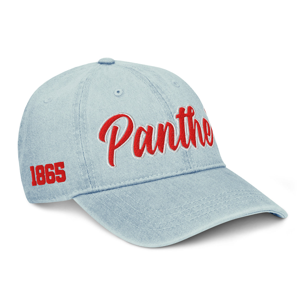 Clark Atlanta University Panthers Dad Hat