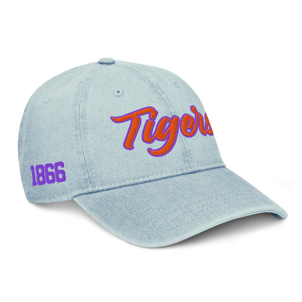 Edward Waters Tigers Dad Hat