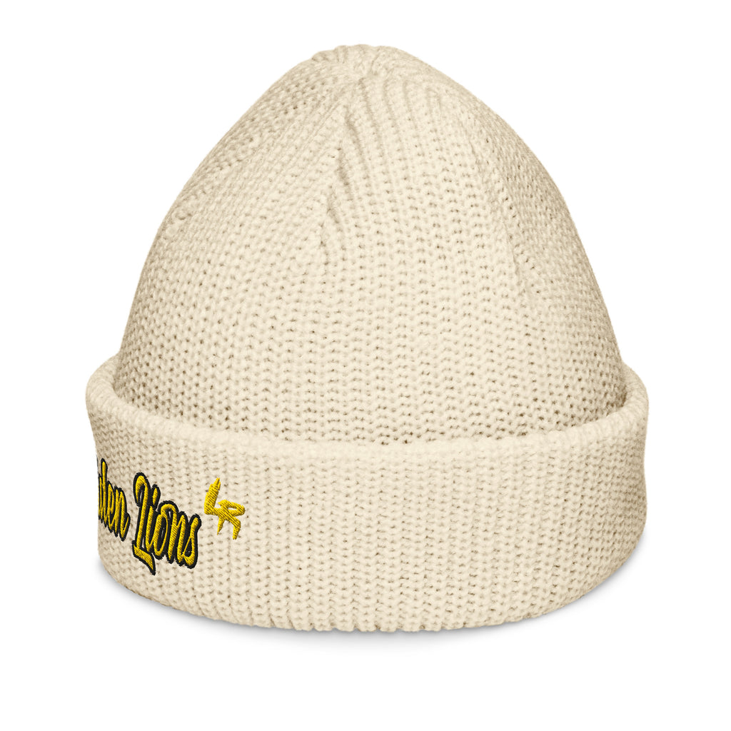 University of Arkansas at Pine Bluff Beanie