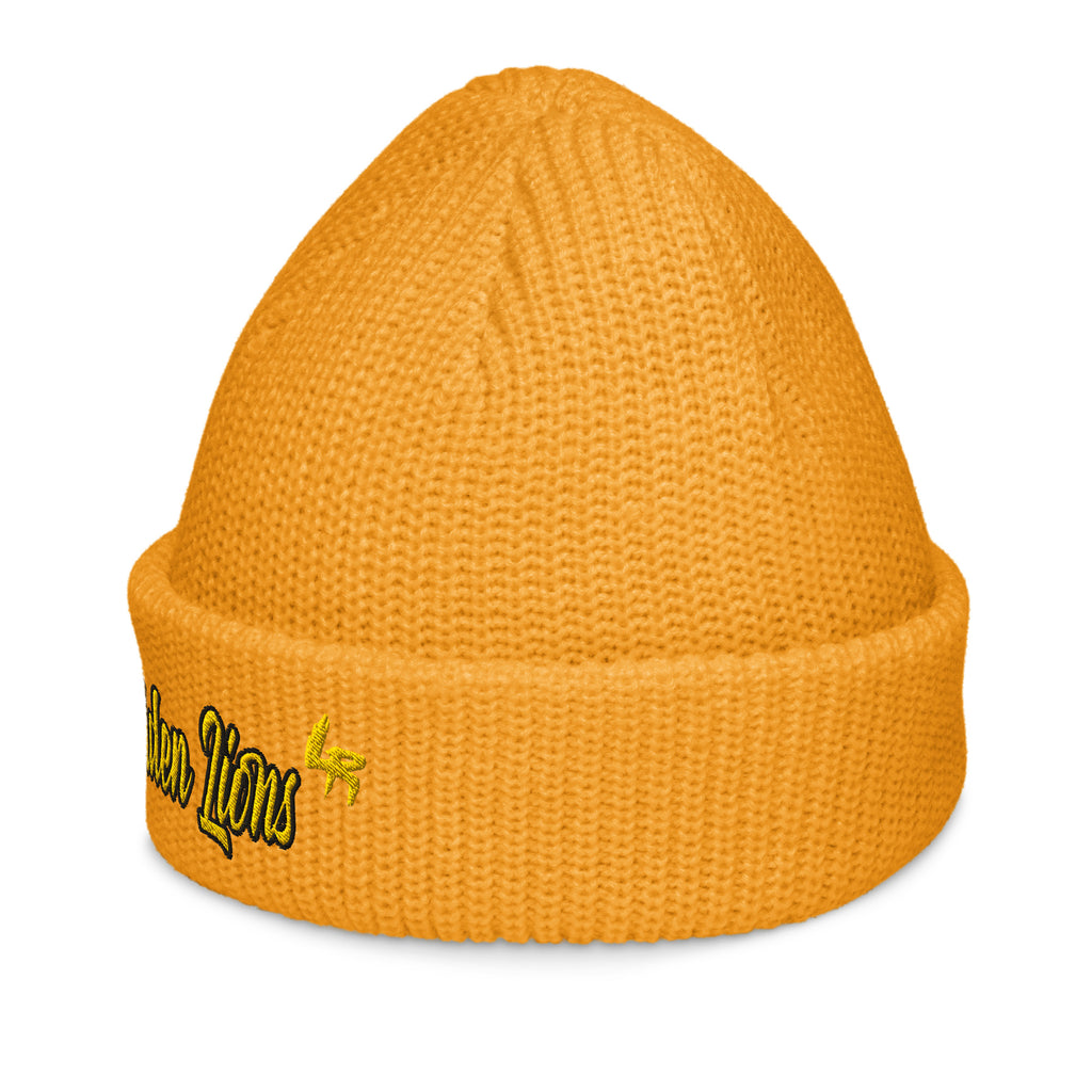 University of Arkansas at Pine Bluff Beanie
