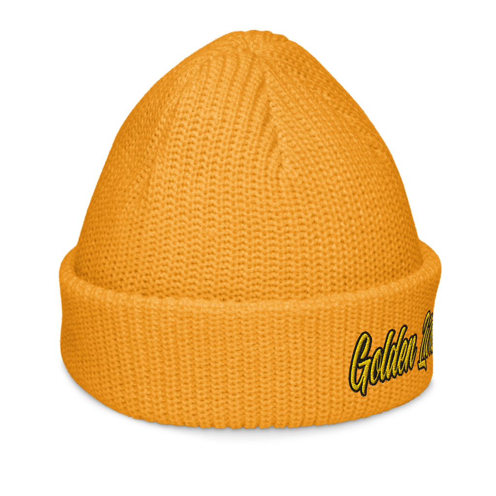 University of Arkansas at Pine Bluff Beanie