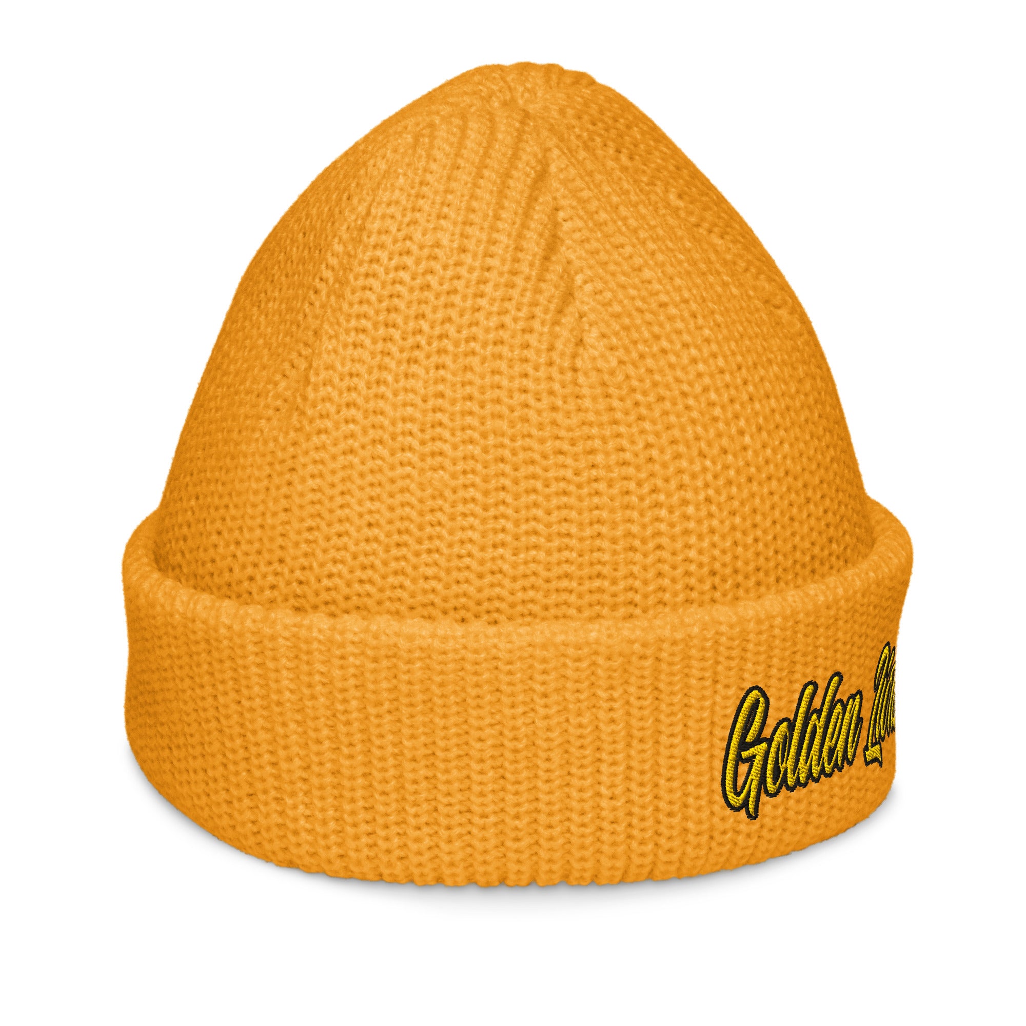 University of Arkansas at Pine Bluff Beanie