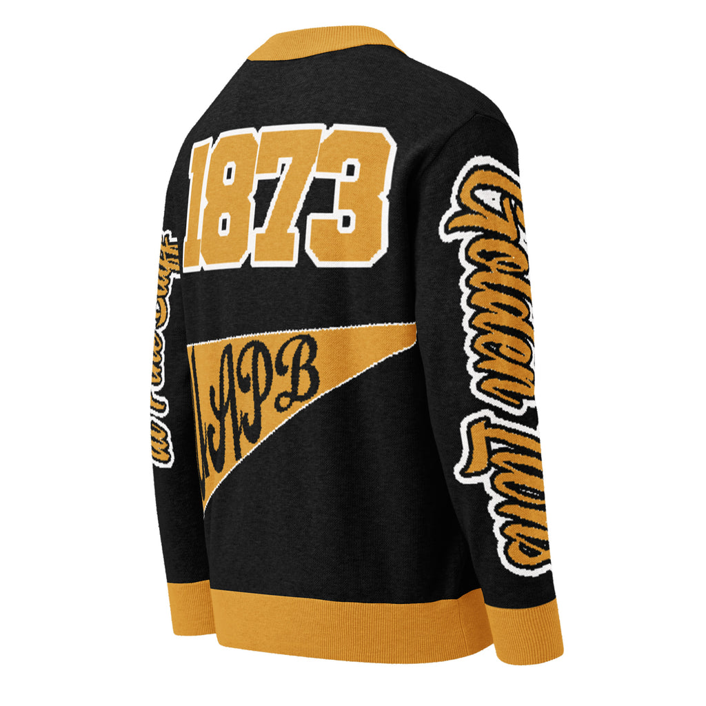 University Of Arkansas at Pine Bluff Knitted Cardigan