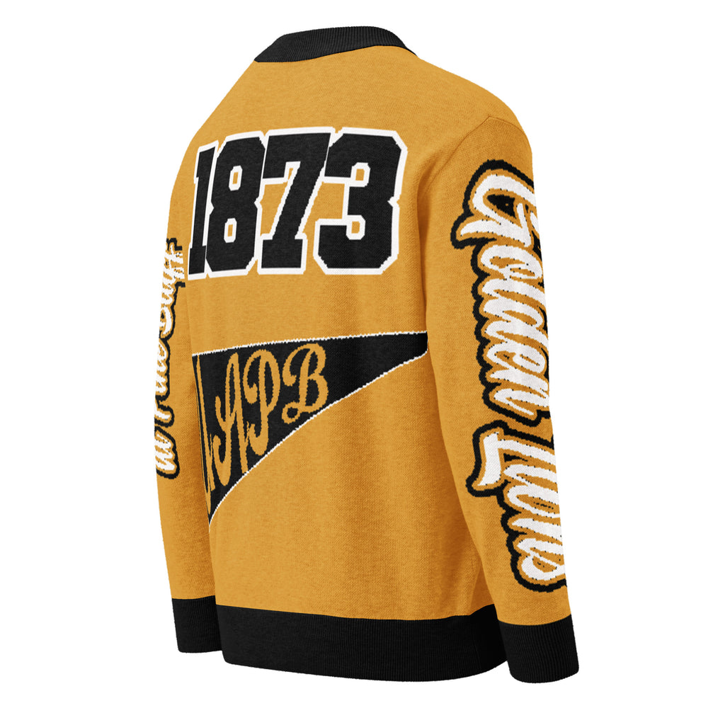 University Of Arkansas at Pine Bluff Knitted Cardigan