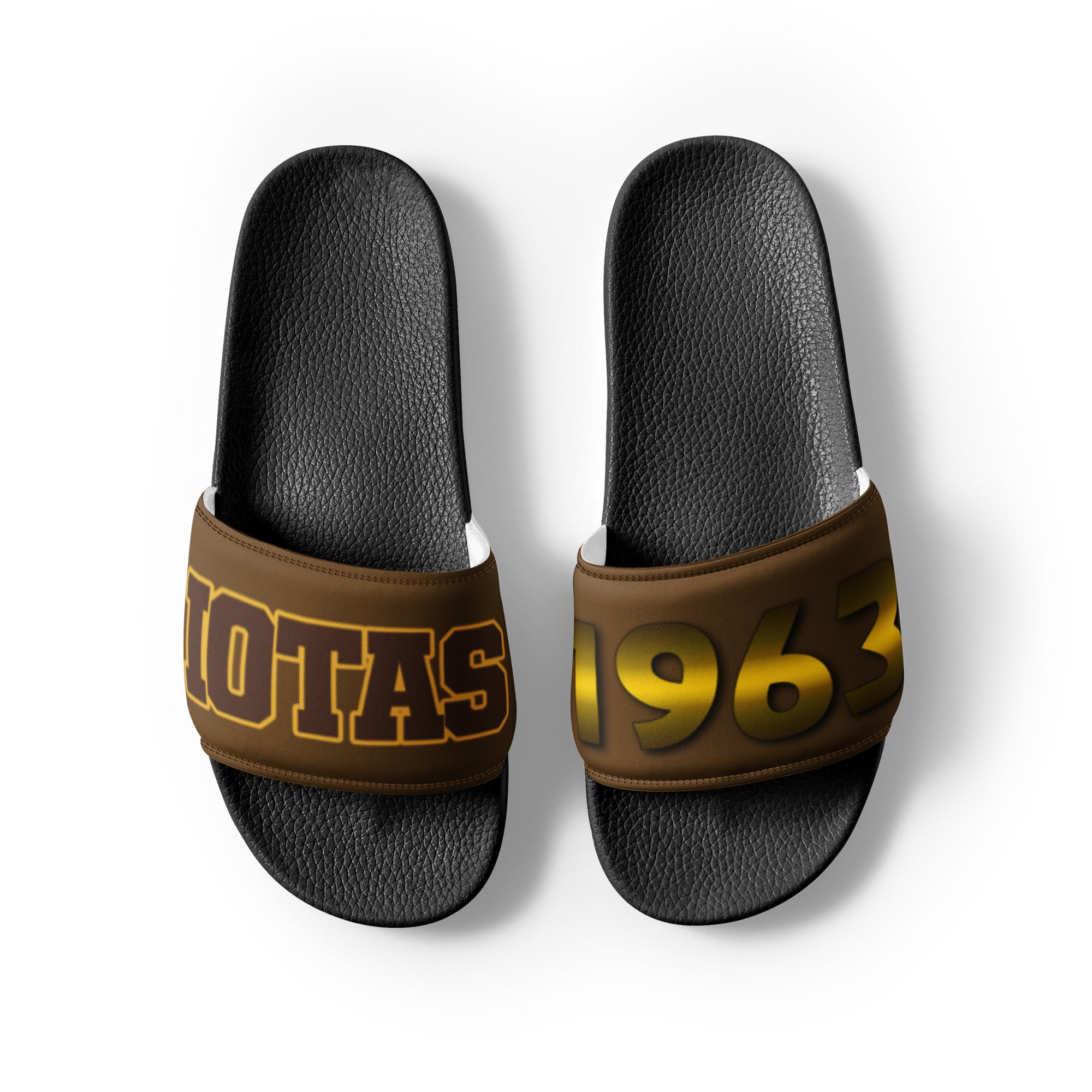 Iota Phi Theta Men’s Slides