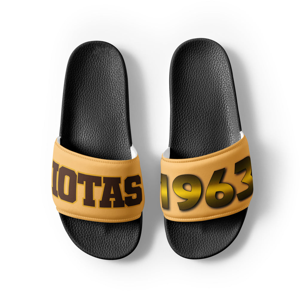 Iota Phi Theta Men’s Slides