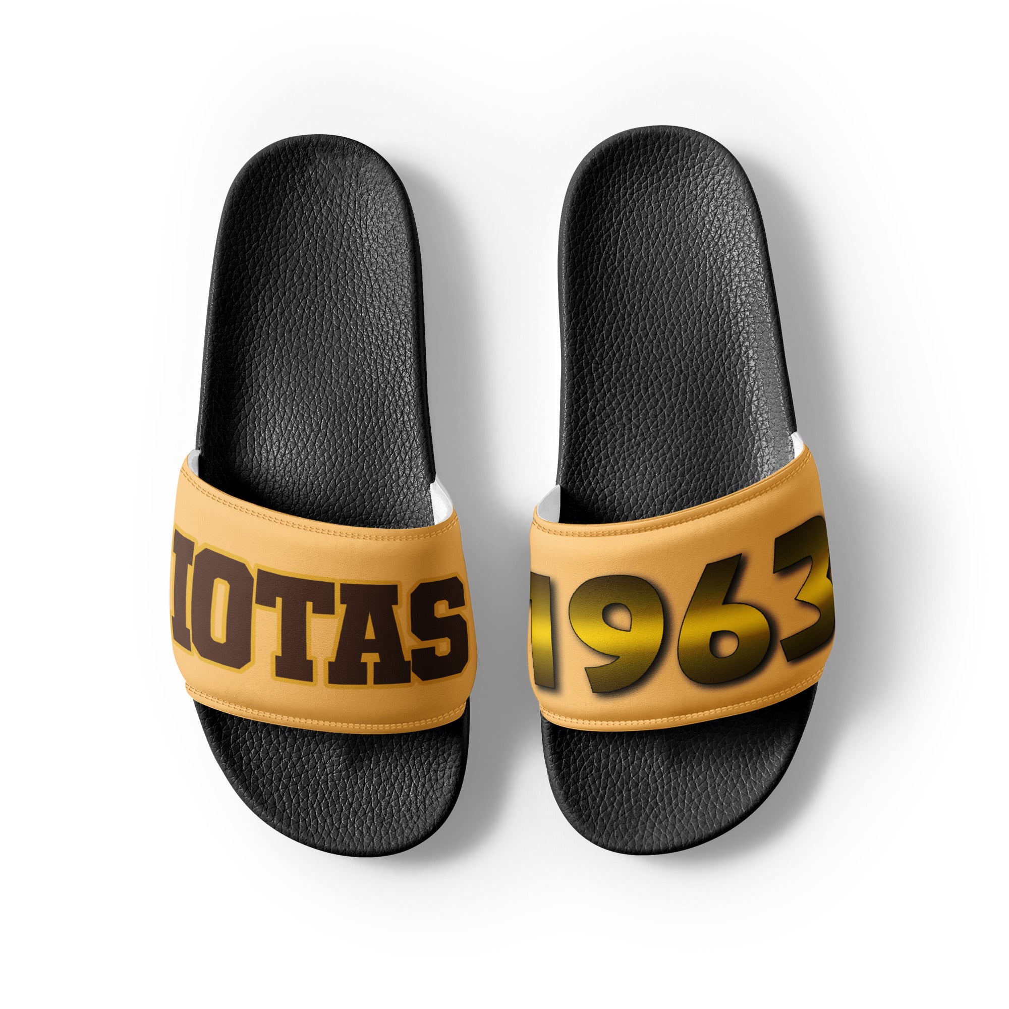 Iota Phi Theta Men’s Slides