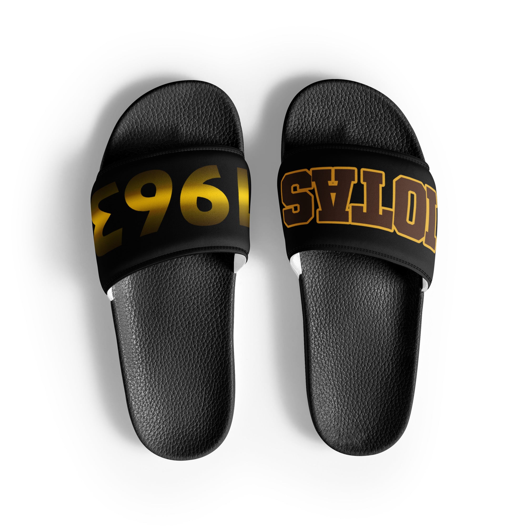 Iota Phi Theta Men’s Slides