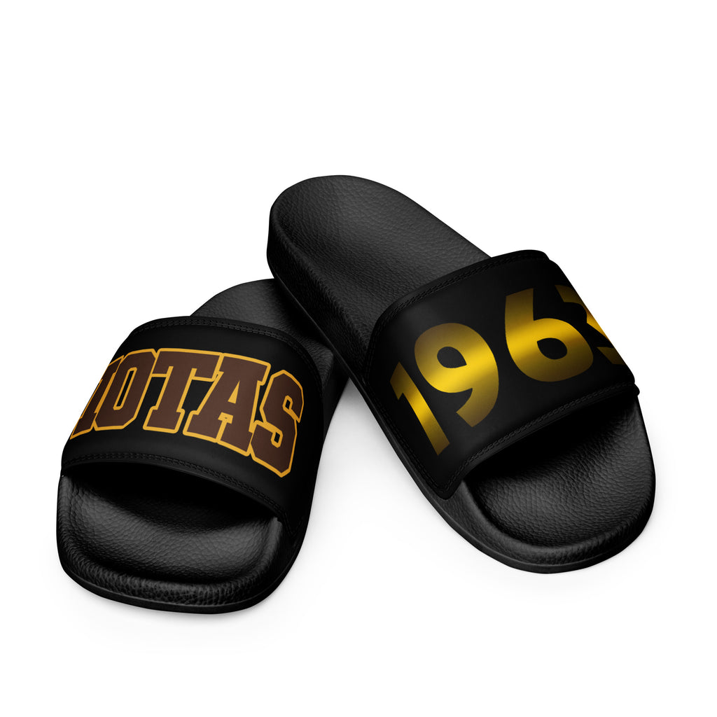 Iota Phi Theta Men’s Slides