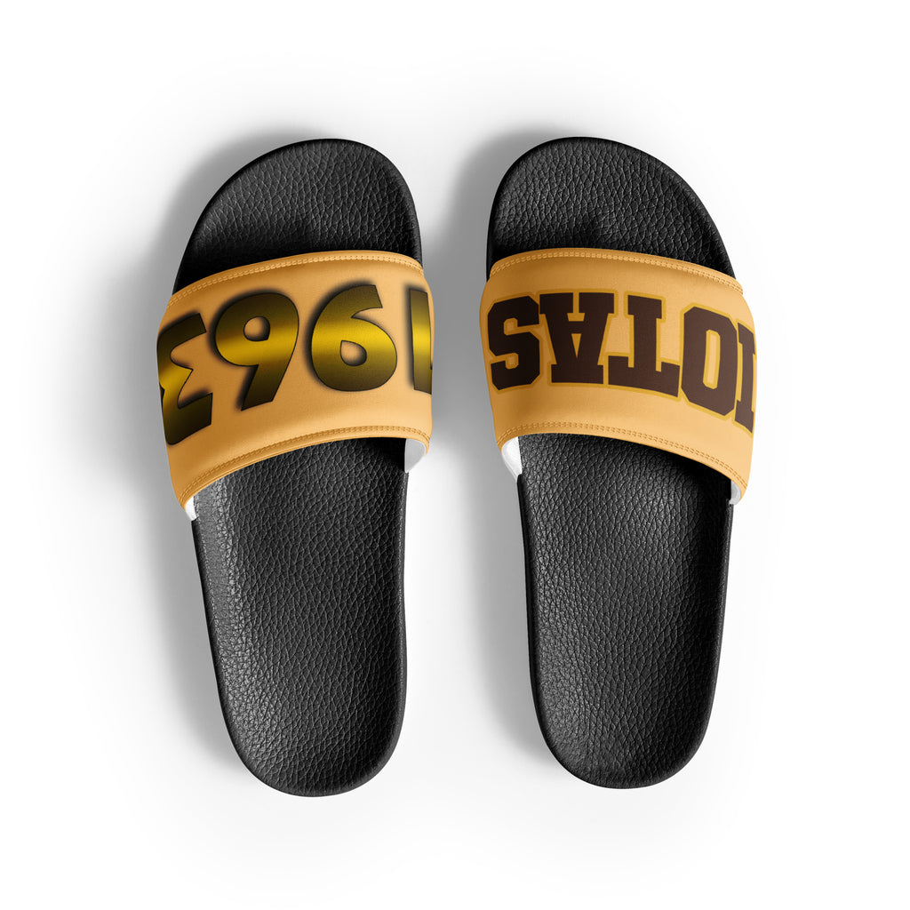 Iota Phi Theta Men’s Slides