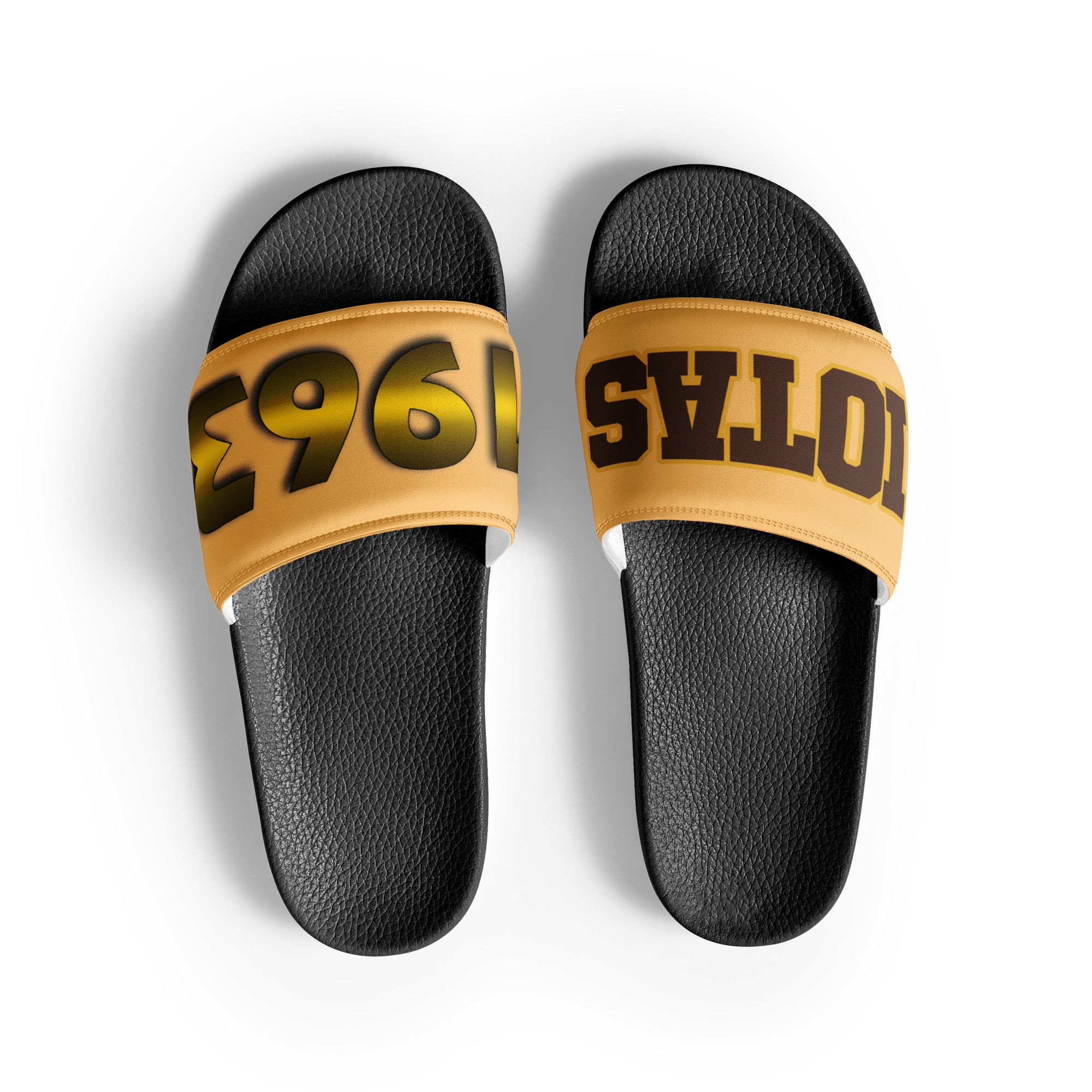 Iota Phi Theta Men’s Slides