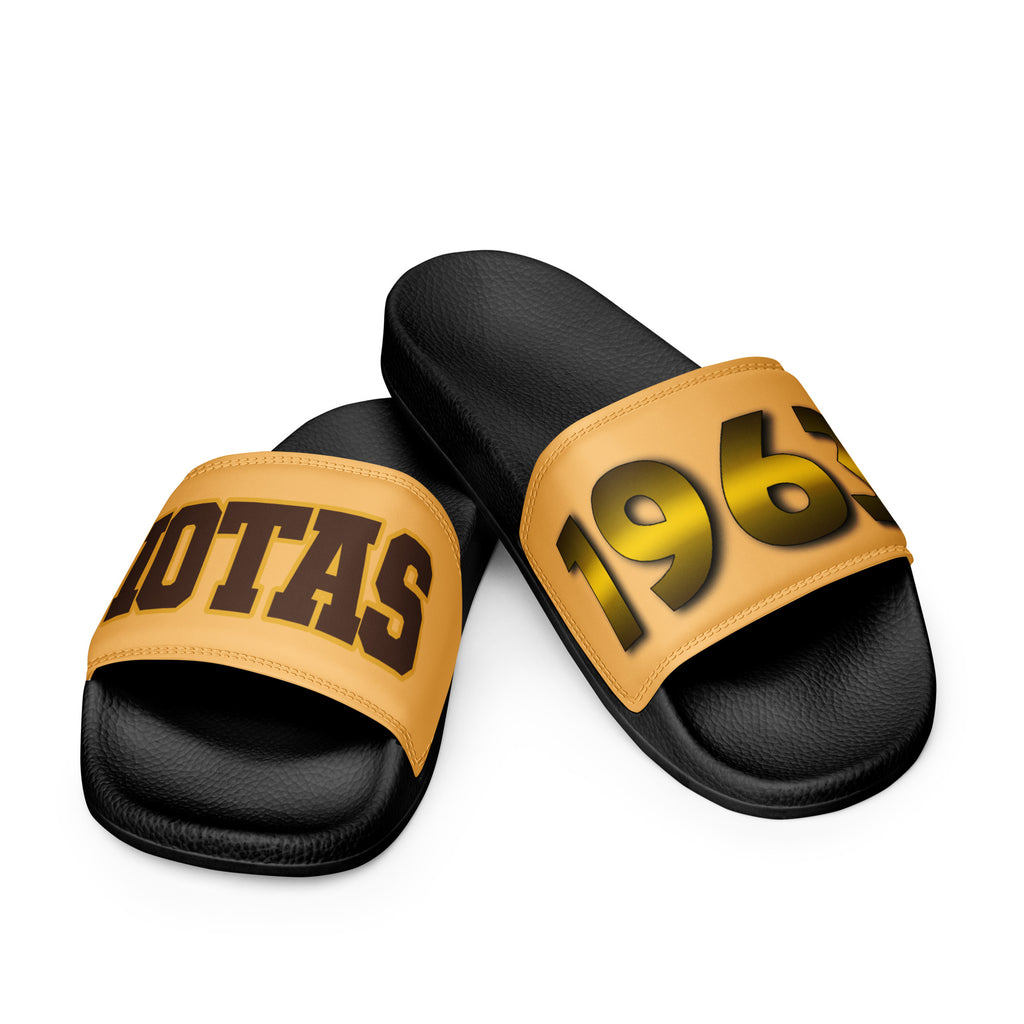Iota Phi Theta Men’s Slides
