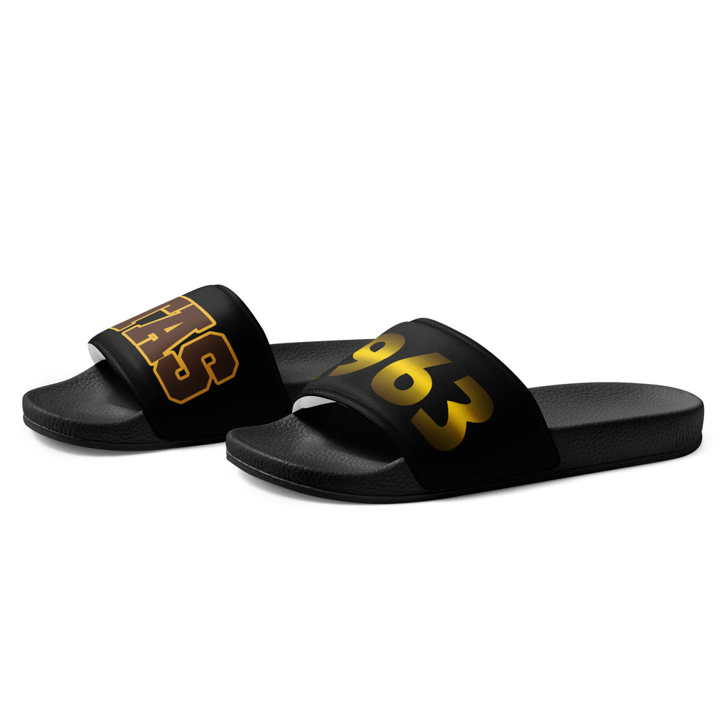Iota Phi Theta Men’s Slides
