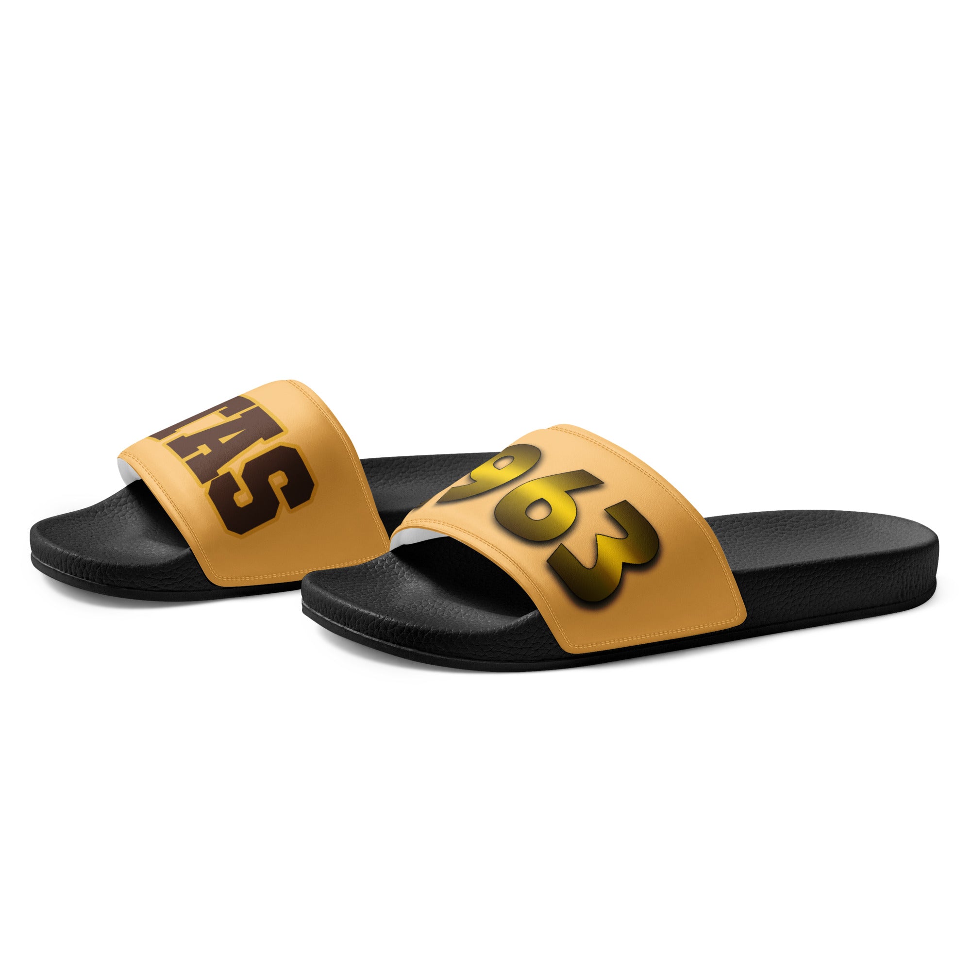 Iota Phi Theta Men’s Slides