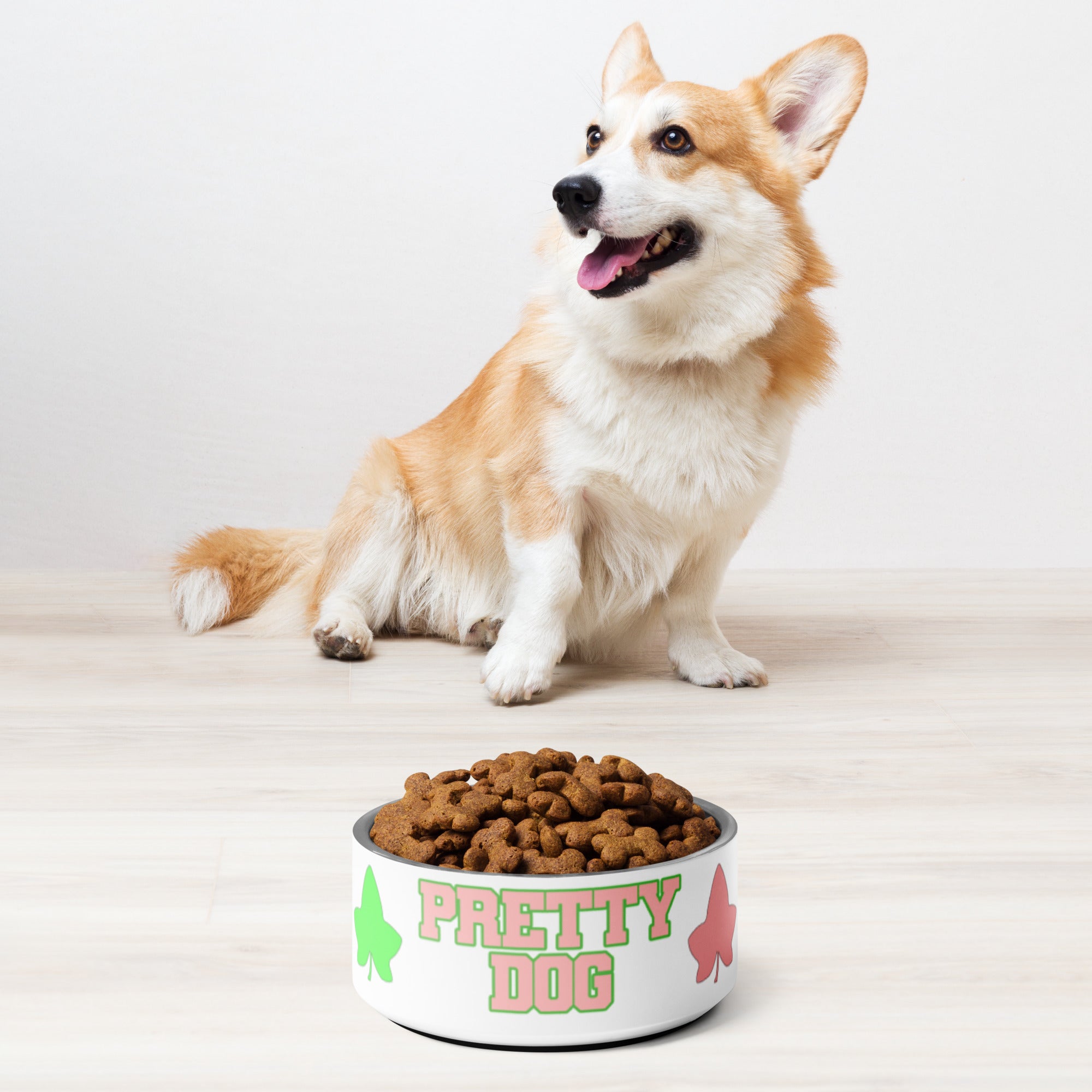 Alpha Kappa Alpha Pet Bowl