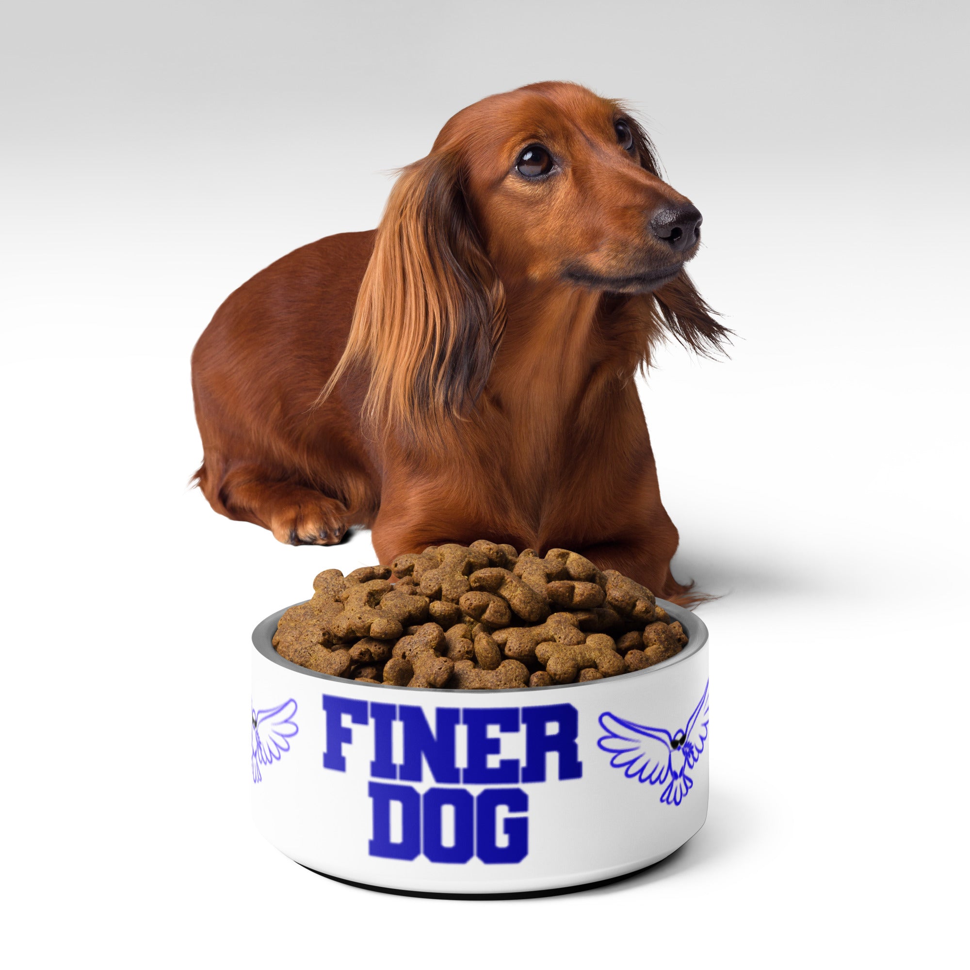 Zeta Phi Beta Pet Bowl