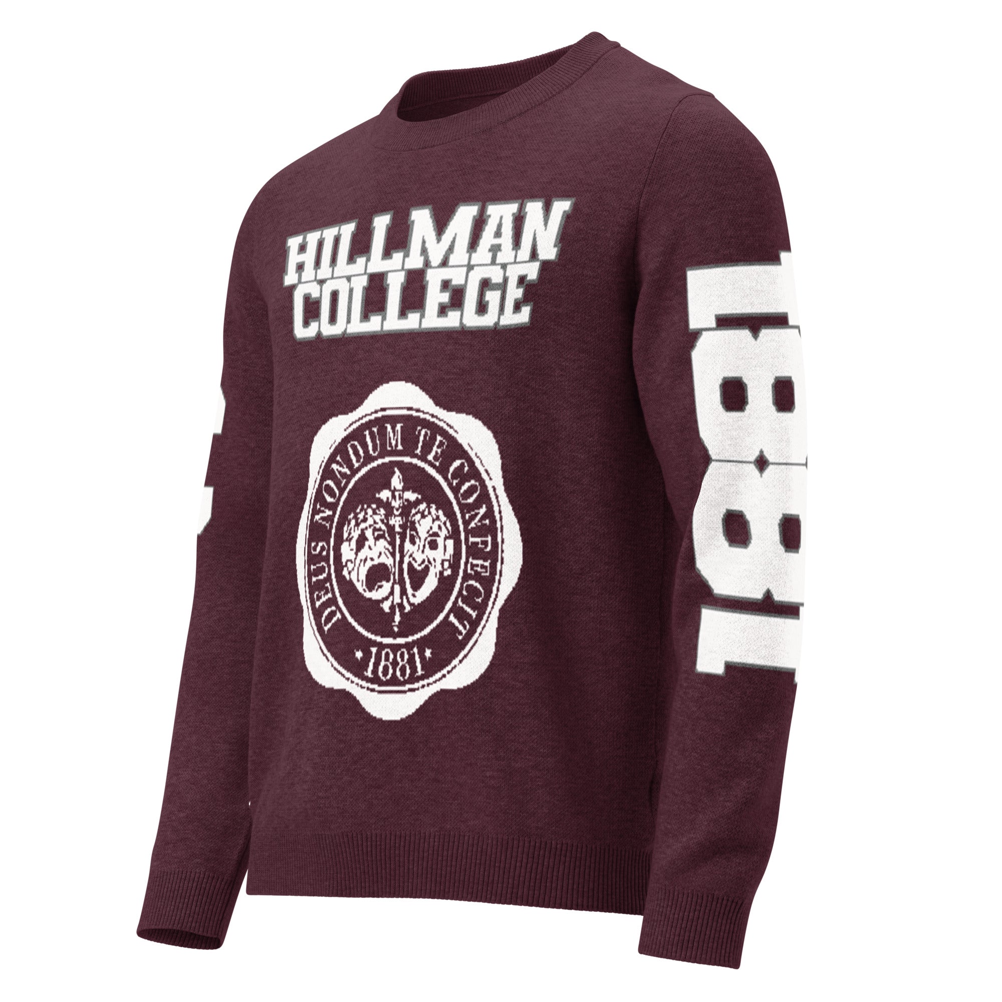 Hillman College Knitted Crewneck Sweater