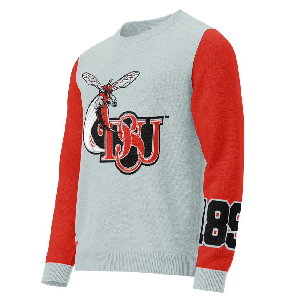 Delaware State Knitted Crewneck Sweater