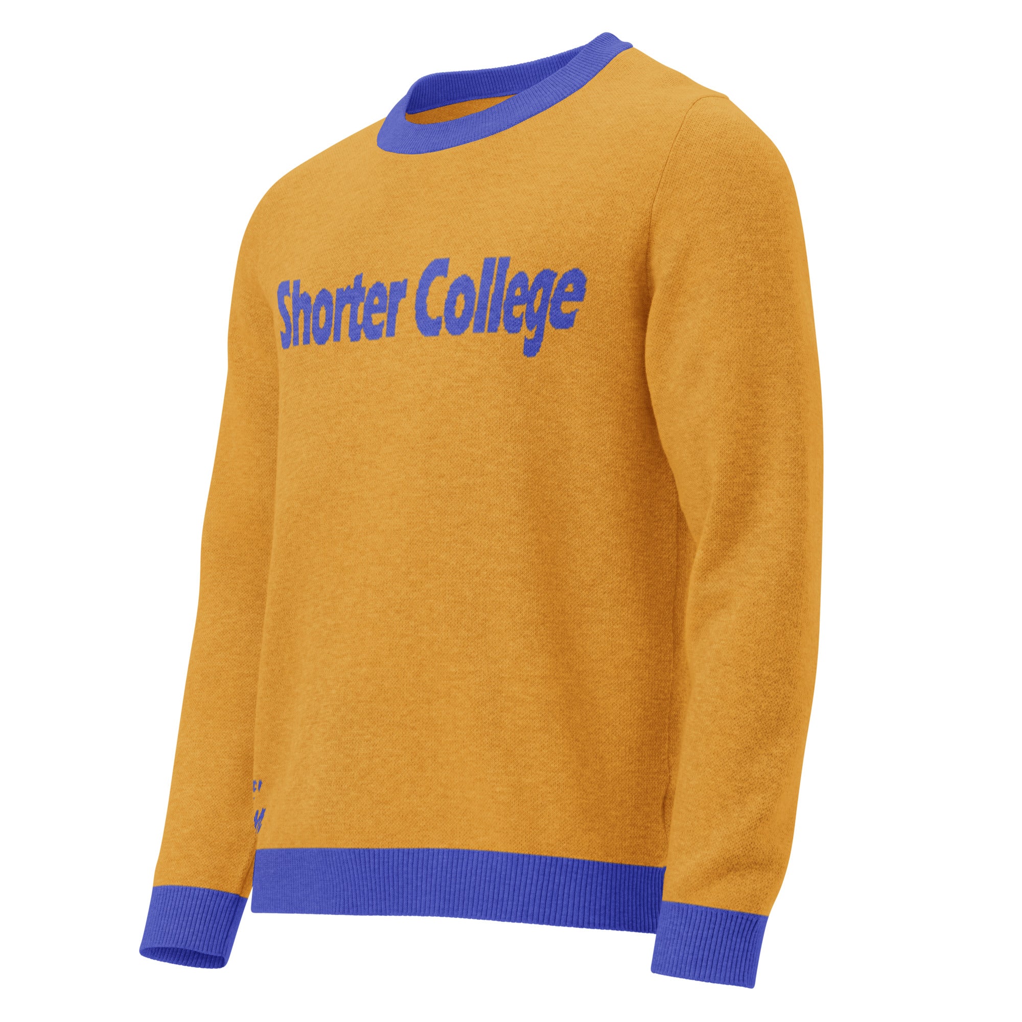 Shorter College "The Campus" Knitted Crewneck Sweater