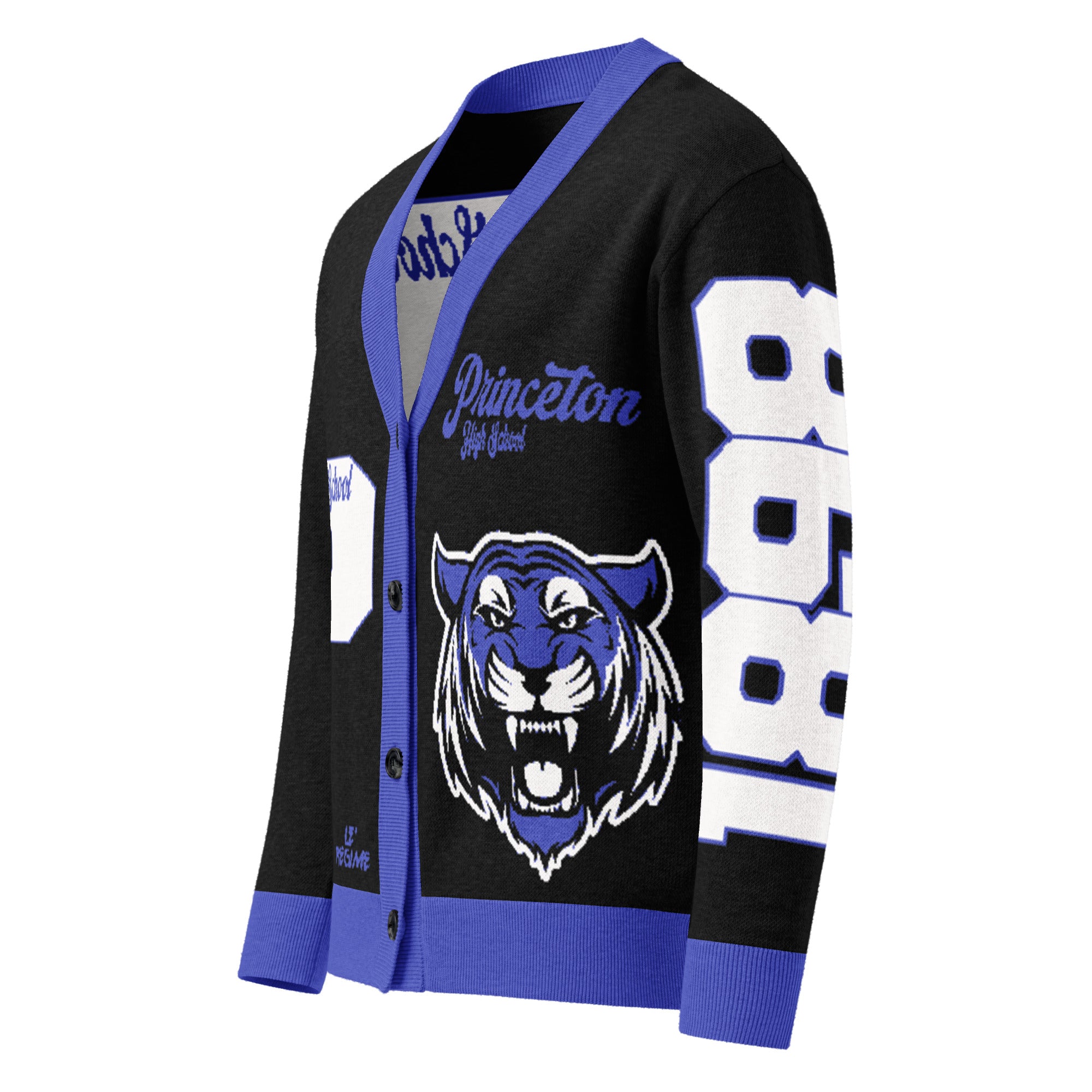 Princeton High School (NJ) Letterman Knitted Cardigan