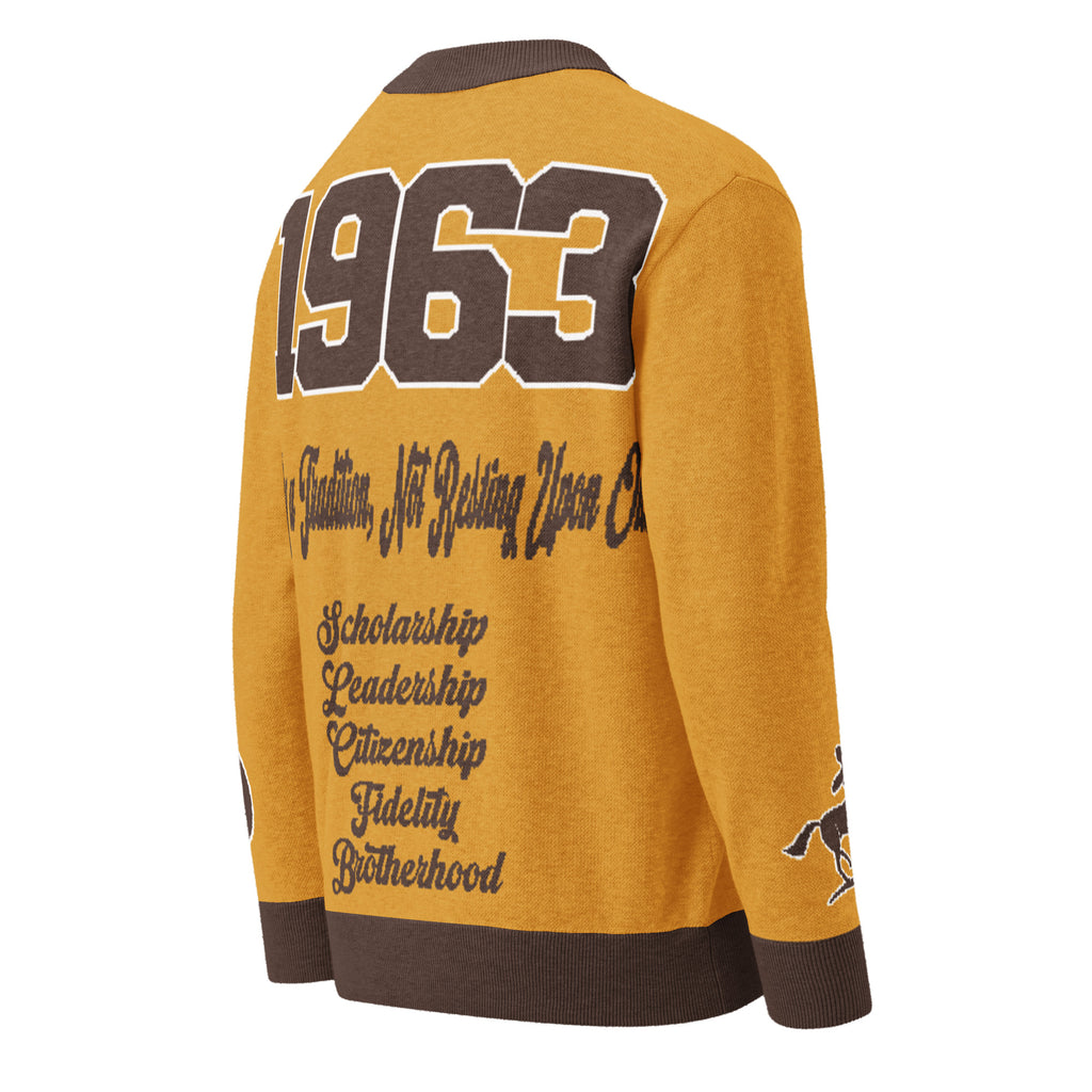 Iota Phi Theta Knitted Cardigan